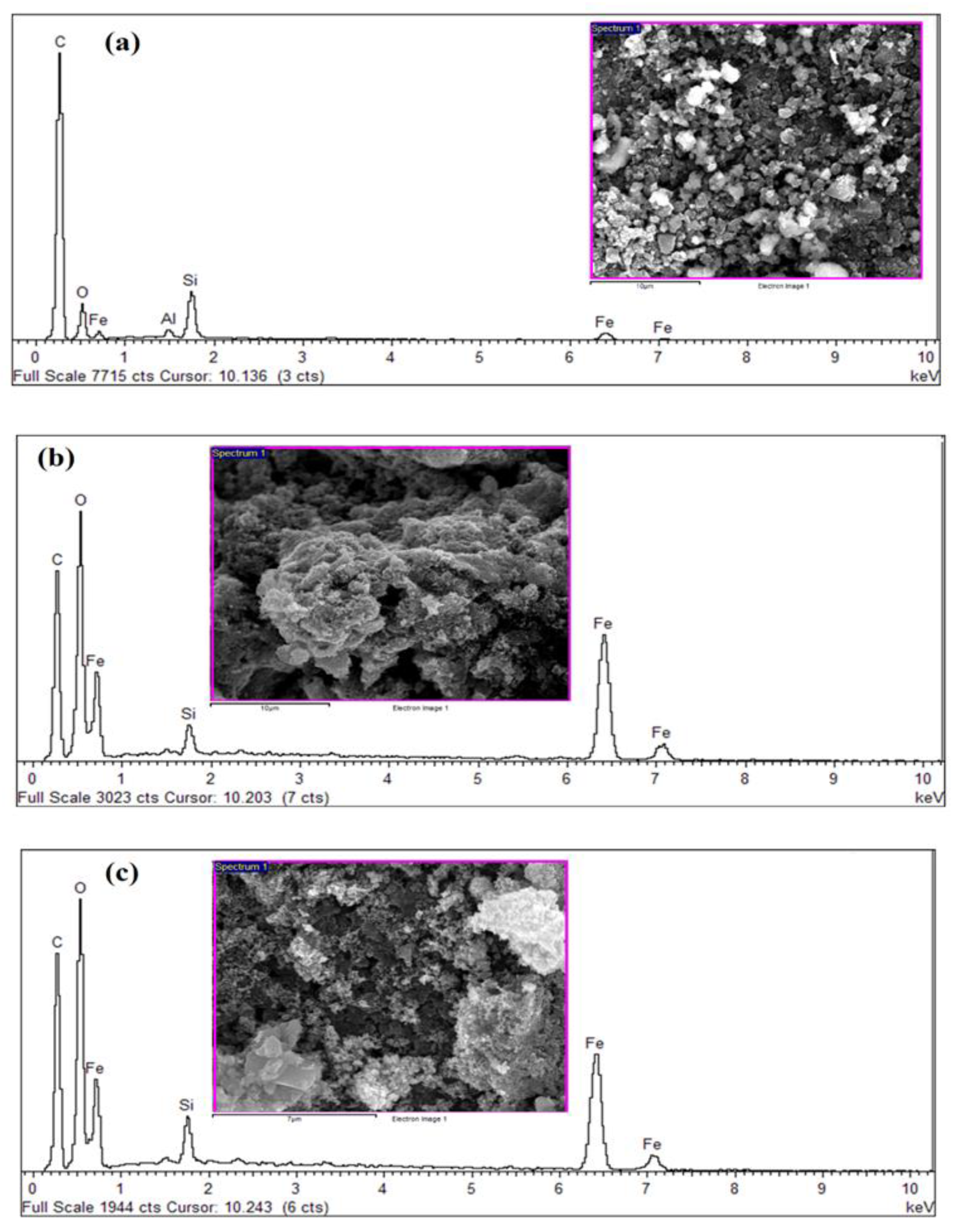 Polymers 13 03781 g002