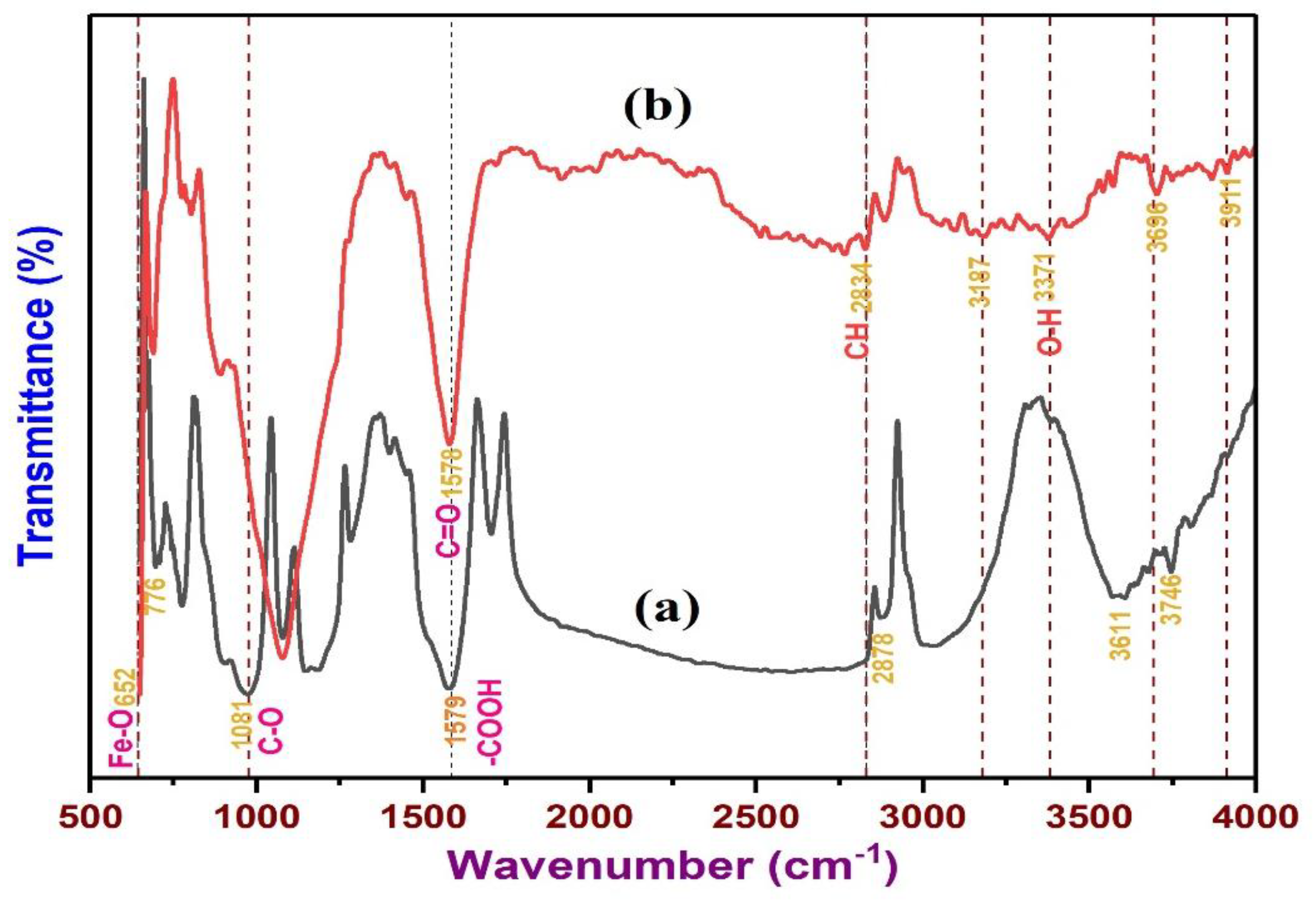 Polymers 13 03781 g006