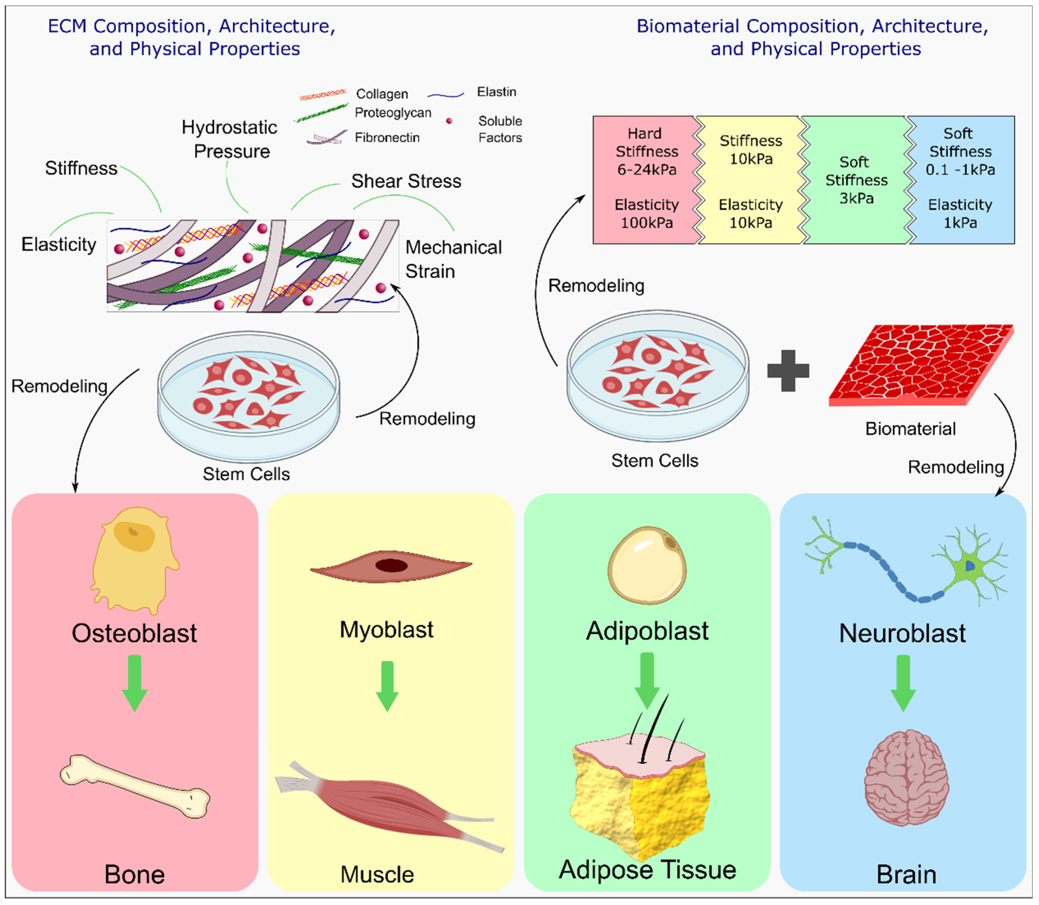 Polymers 13 03782 g011