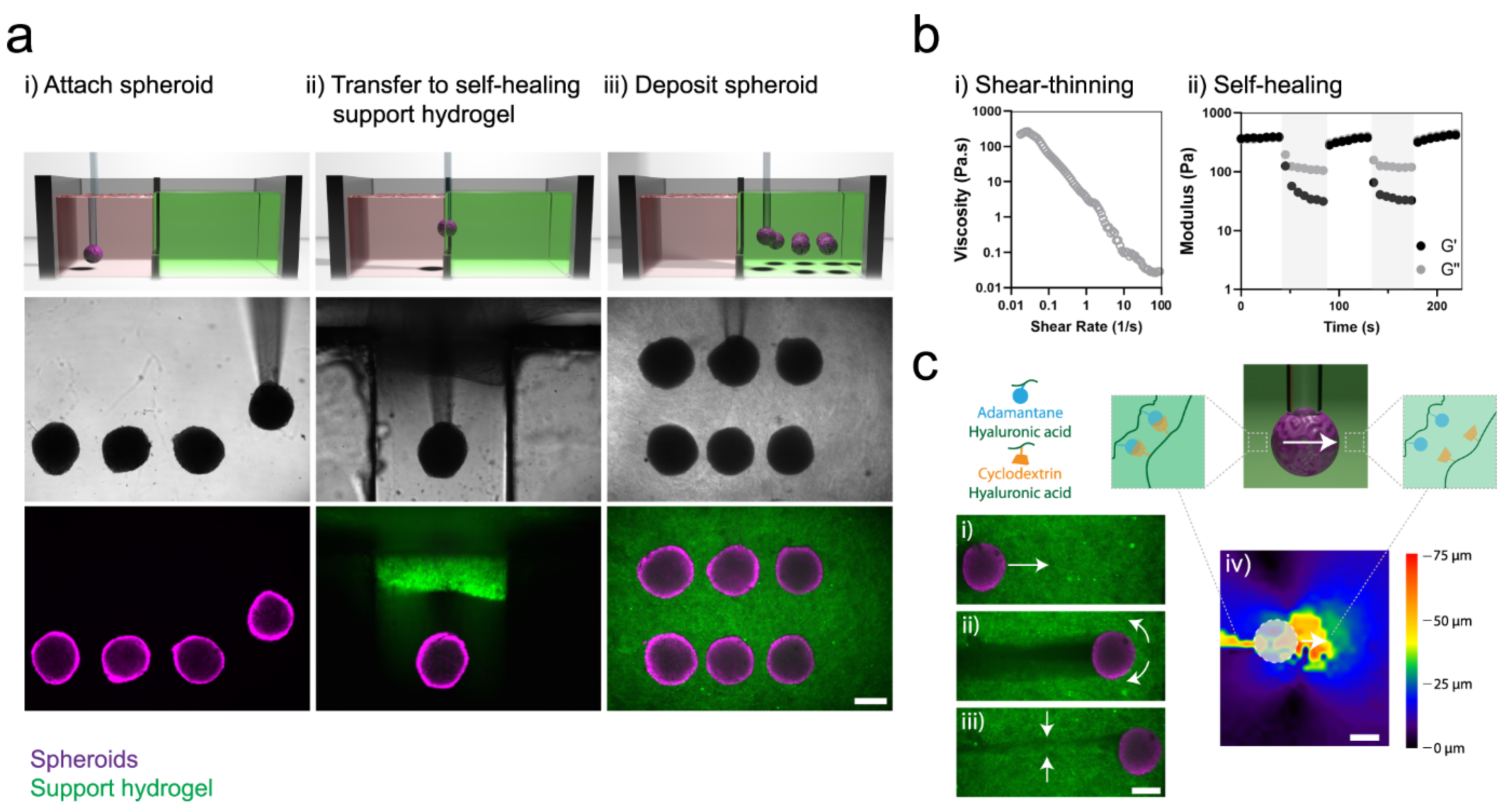 Polymers 13 03782 g013