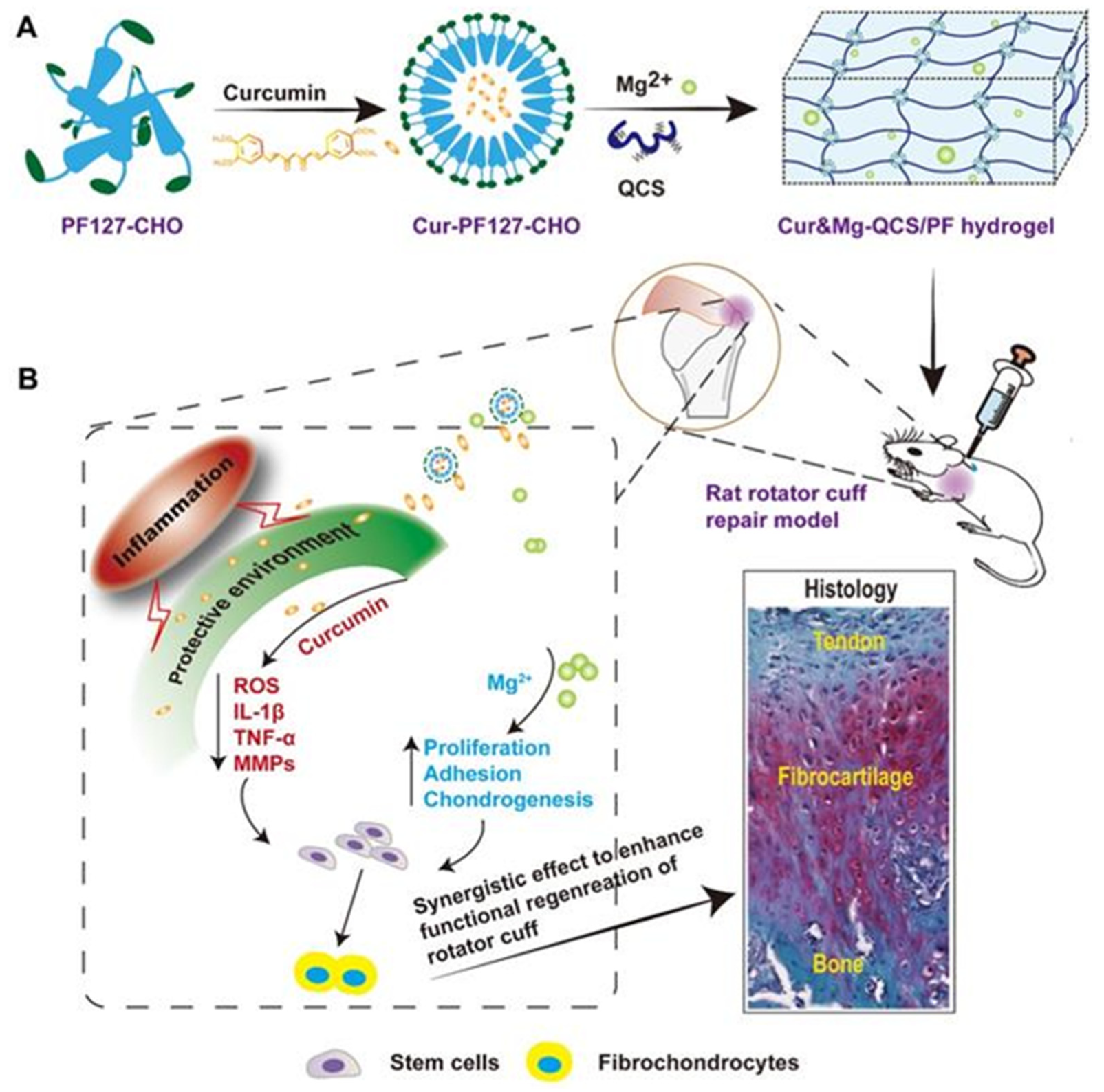 Polymers 13 03782 g016