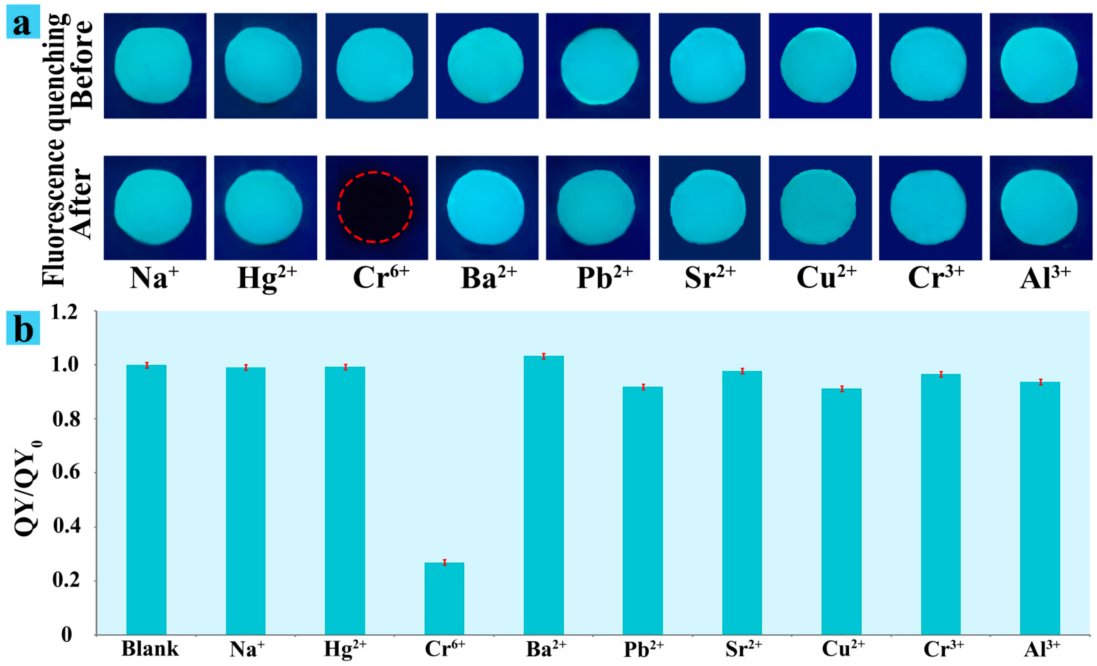 Polymers 13 03788 g004