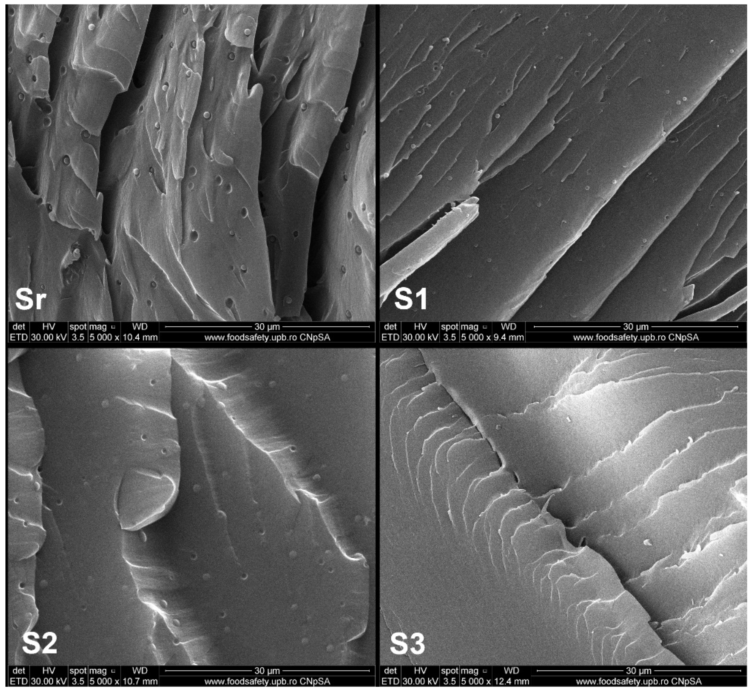 Polymers 13 03792 g005 Polymers 13 03792 g005