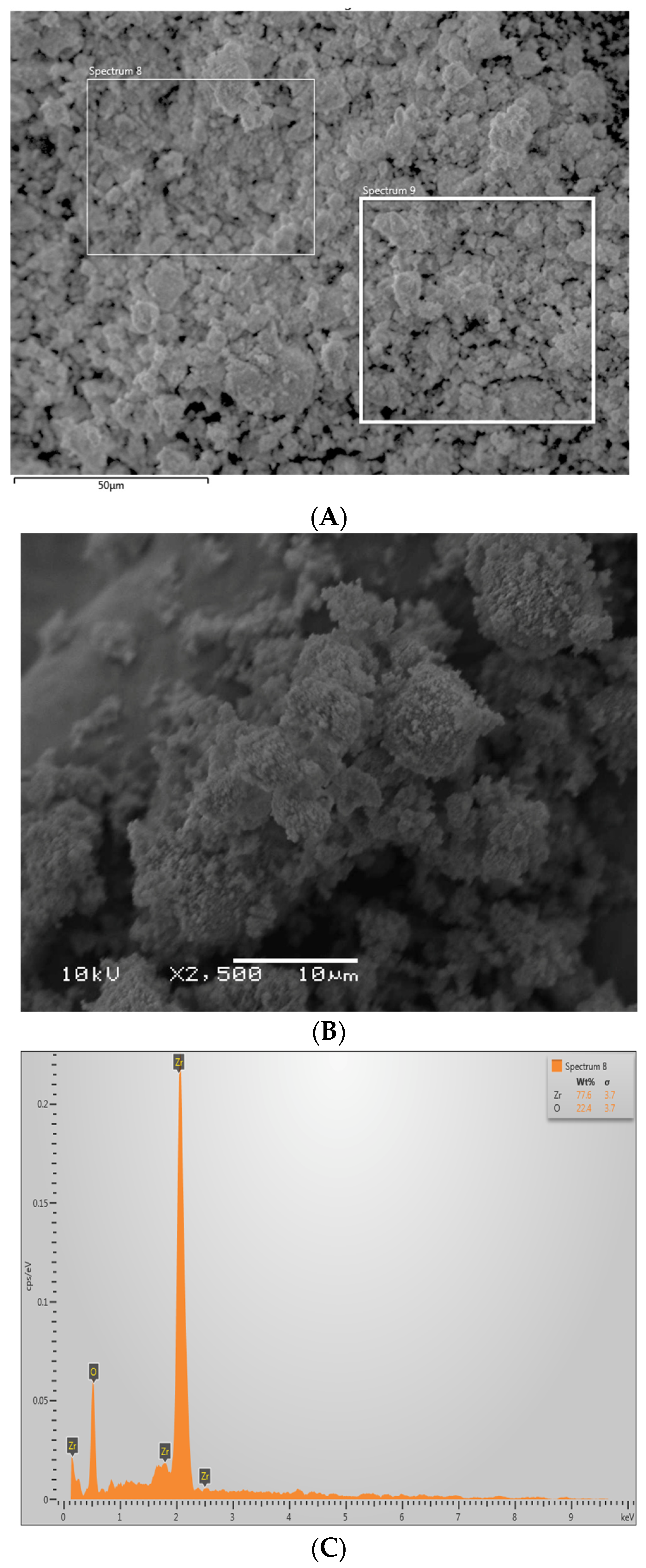 Polymers 13 03794 g002