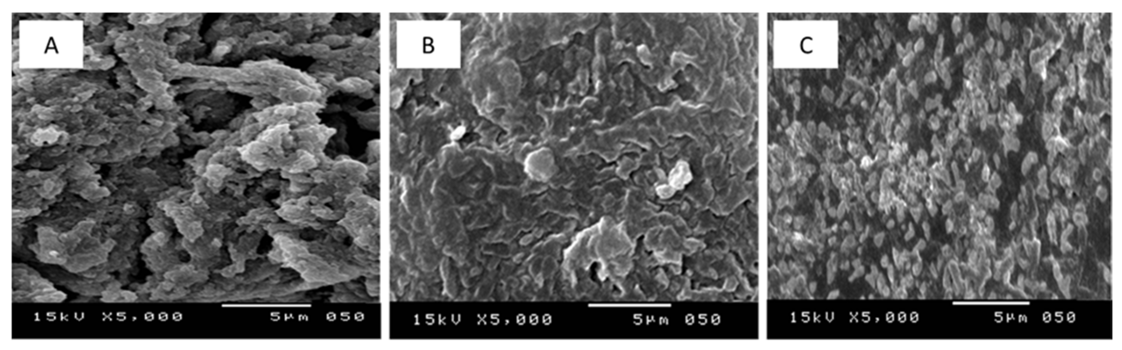 Polymers 13 03798 g004
