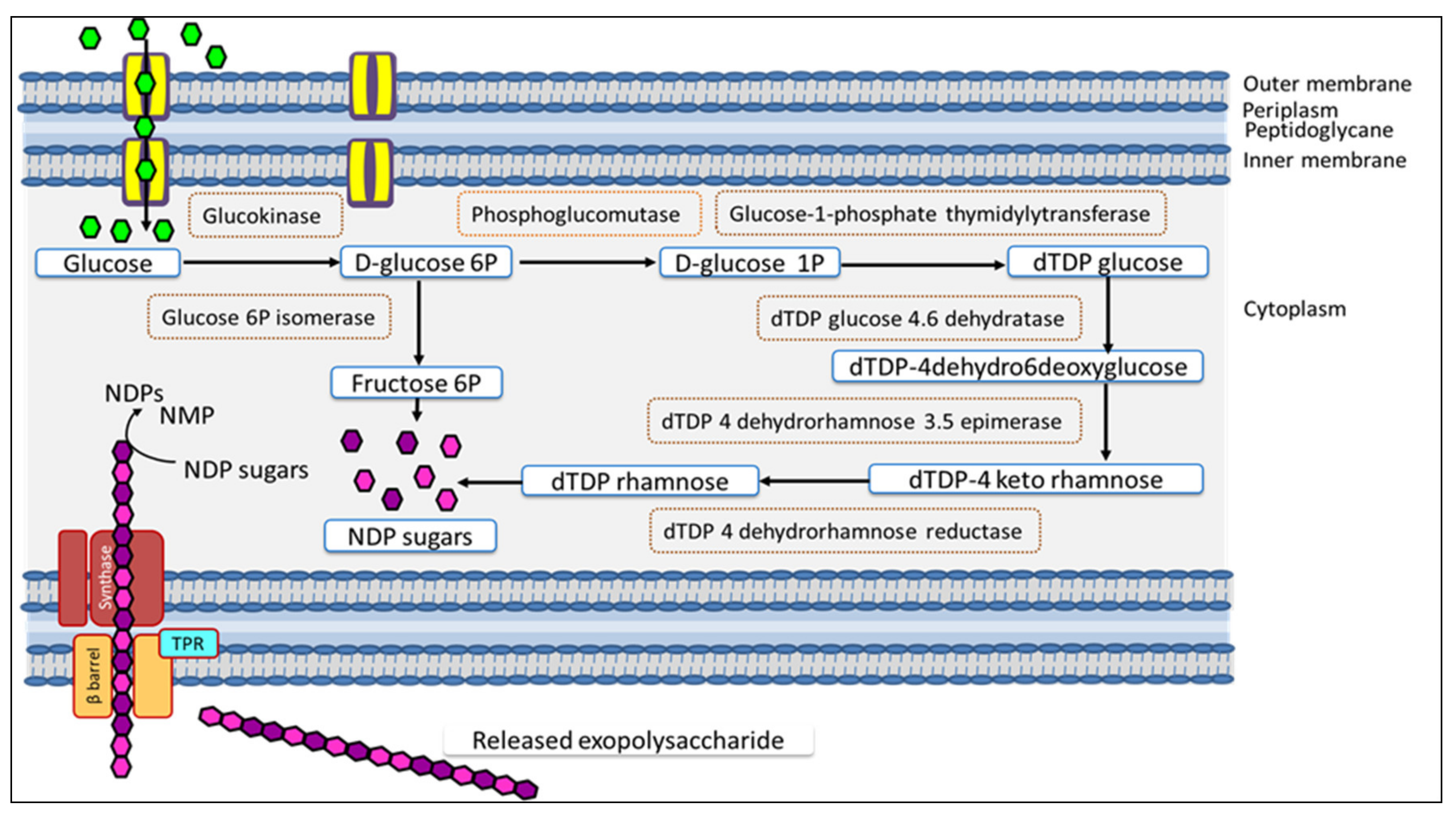 Polymers 13 03798 g009