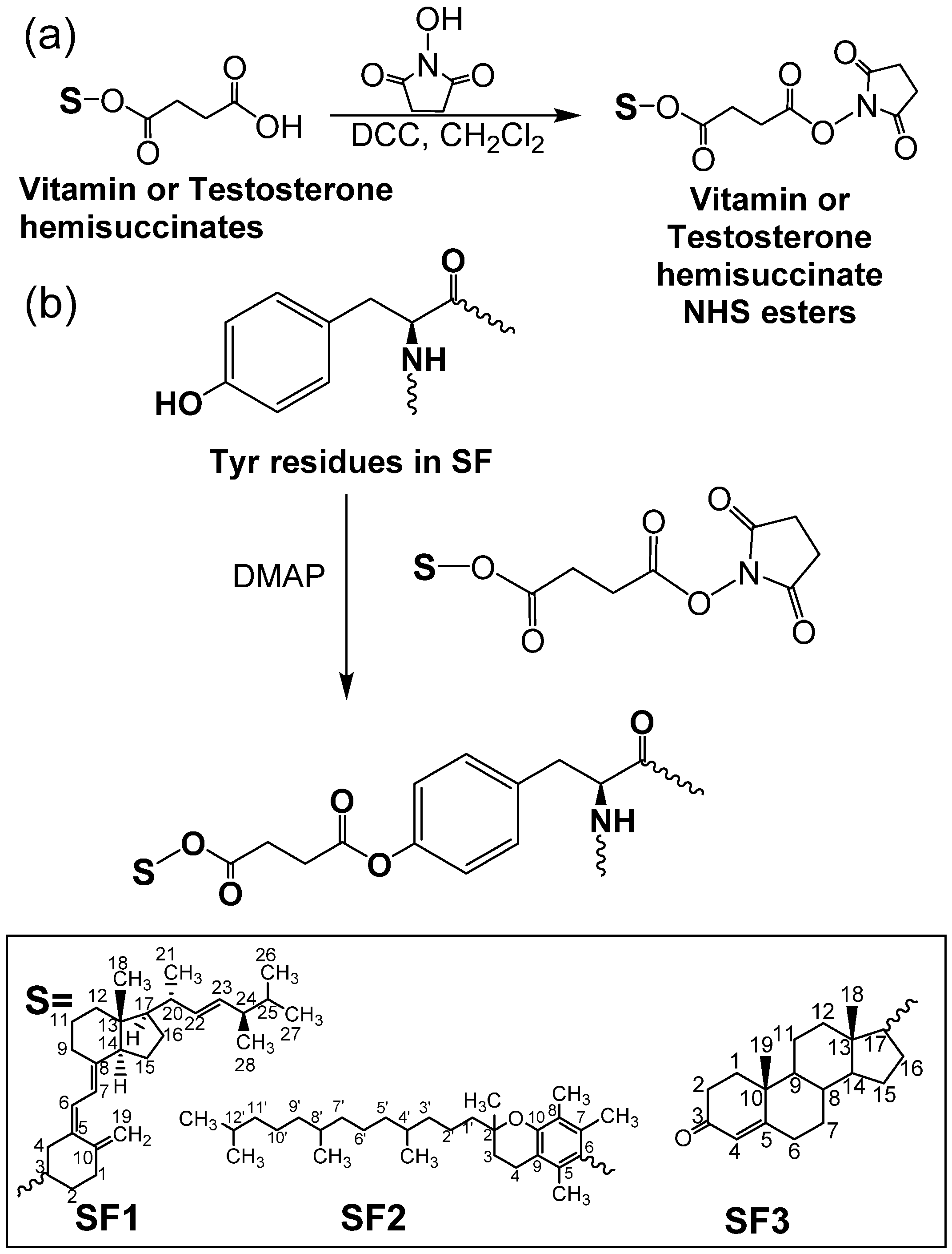 Polymers 13 03804 g001