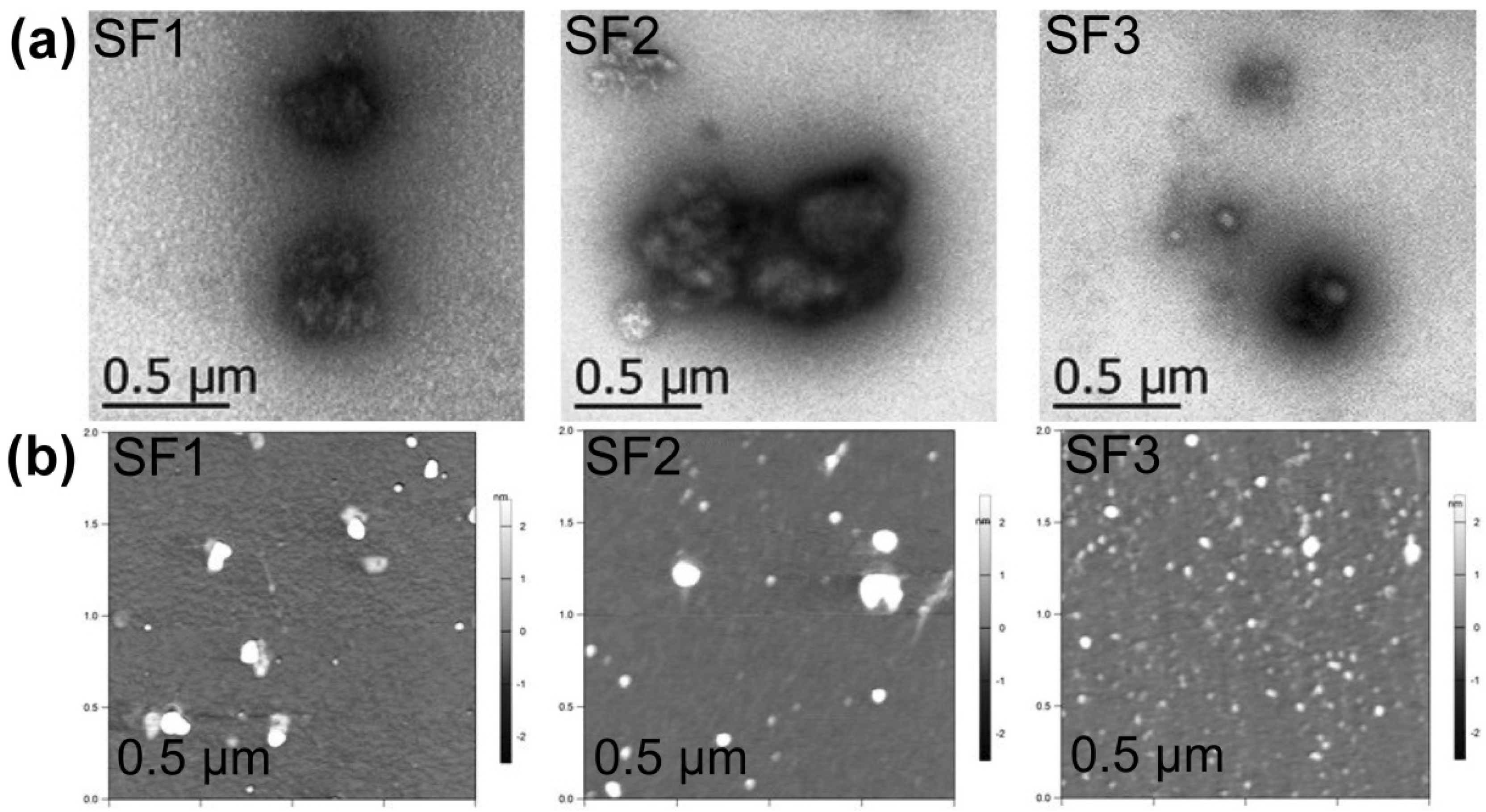 Polymers 13 03804 g003