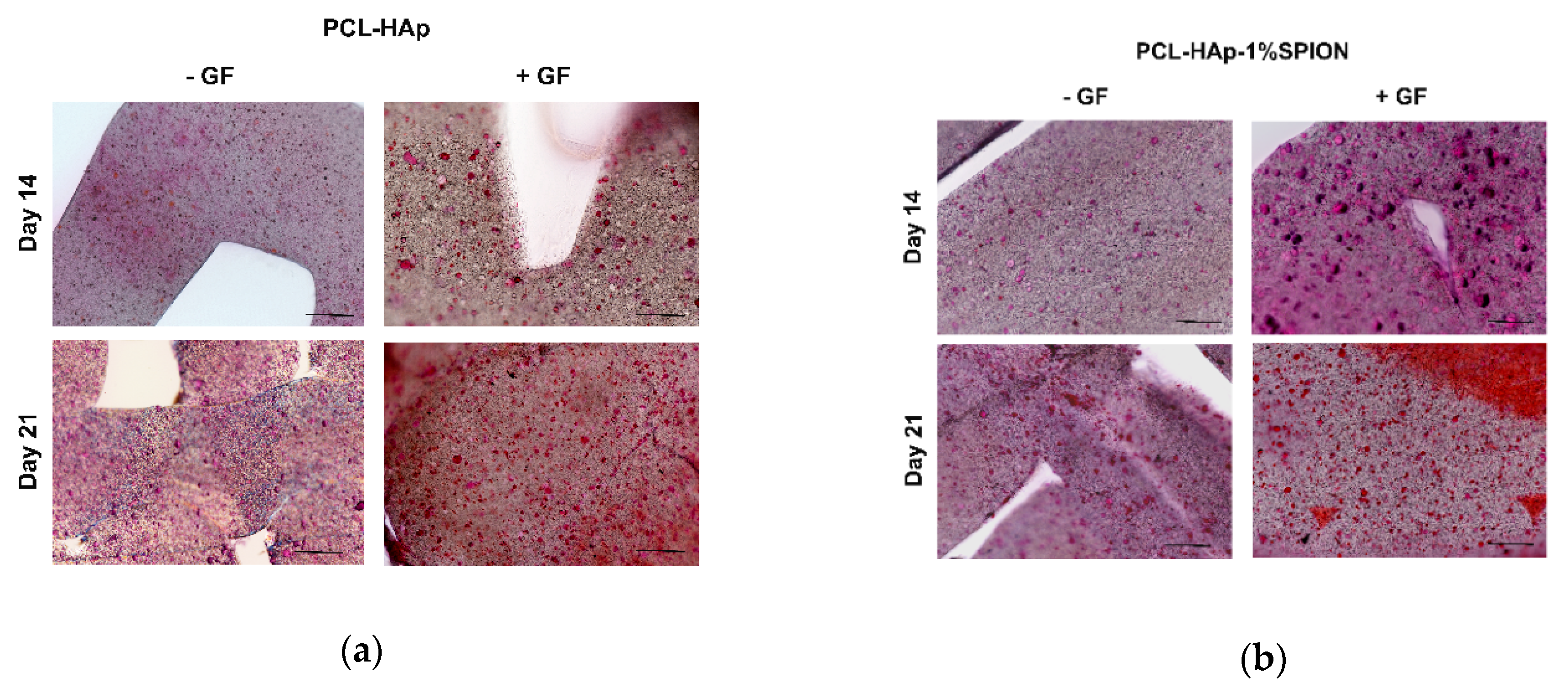 Polymers 13 03825 g005