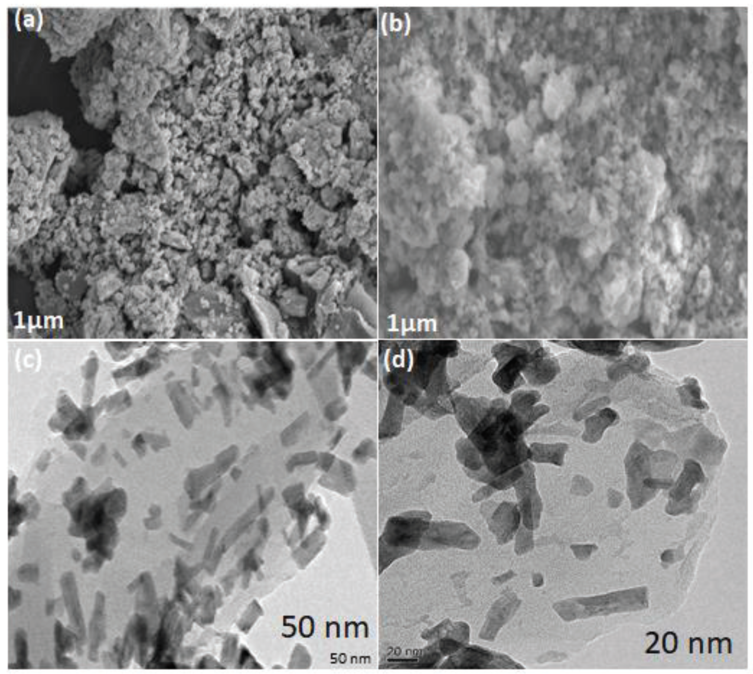 Polymers 13 03835 g003