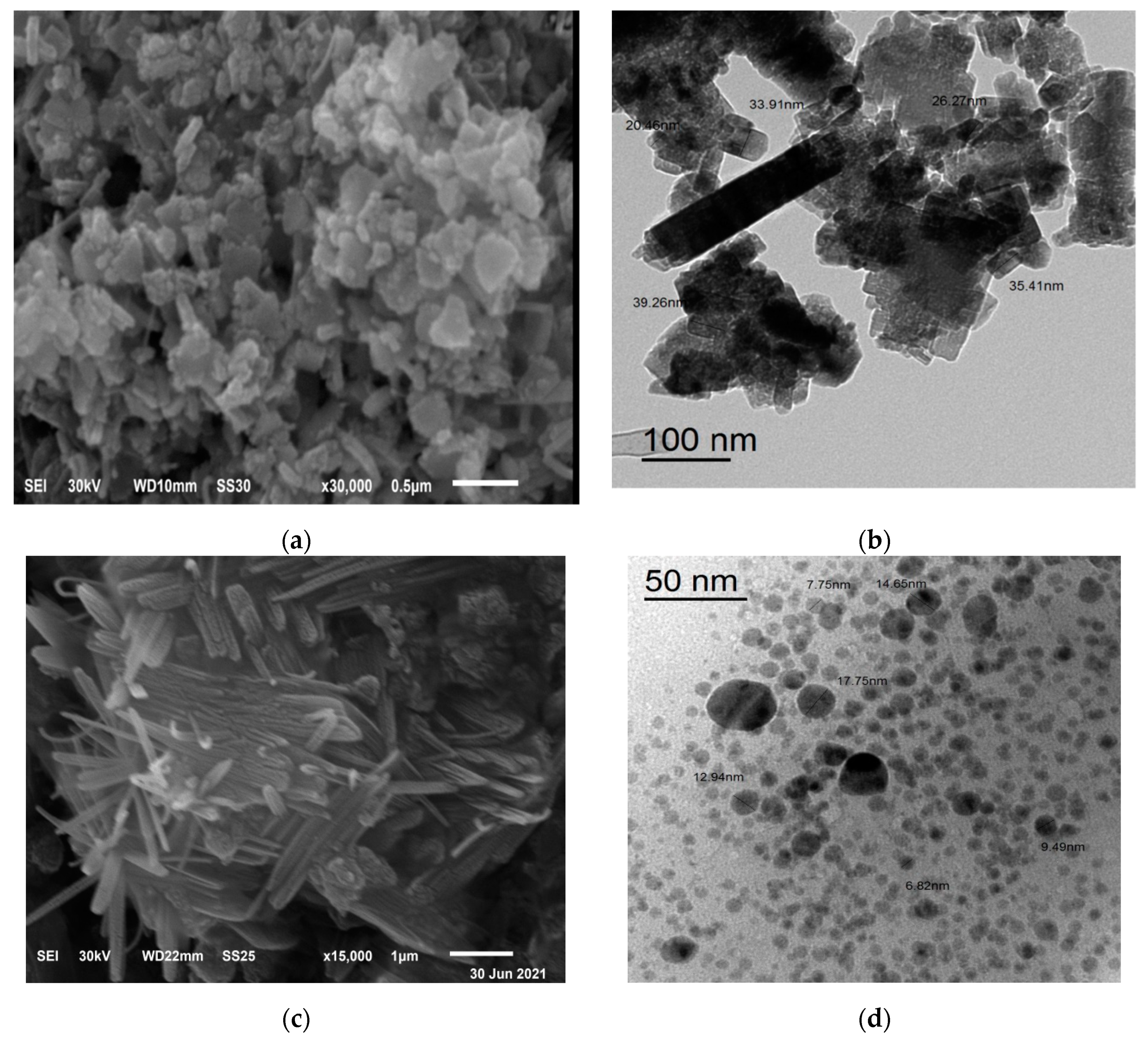 Polymers 13 03839 g005 Polymers 13 03839 g005