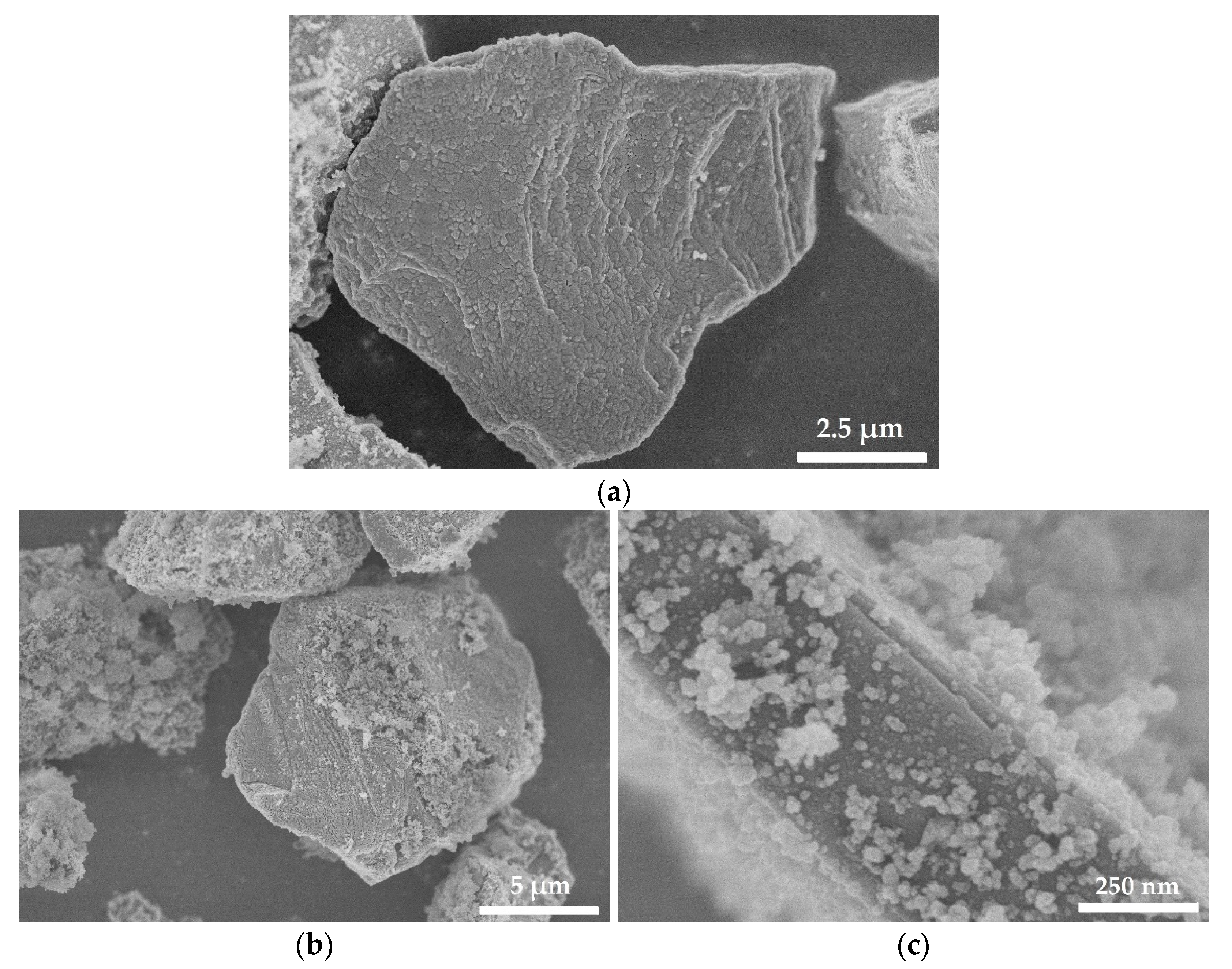 Polymers 13 03864 g001a