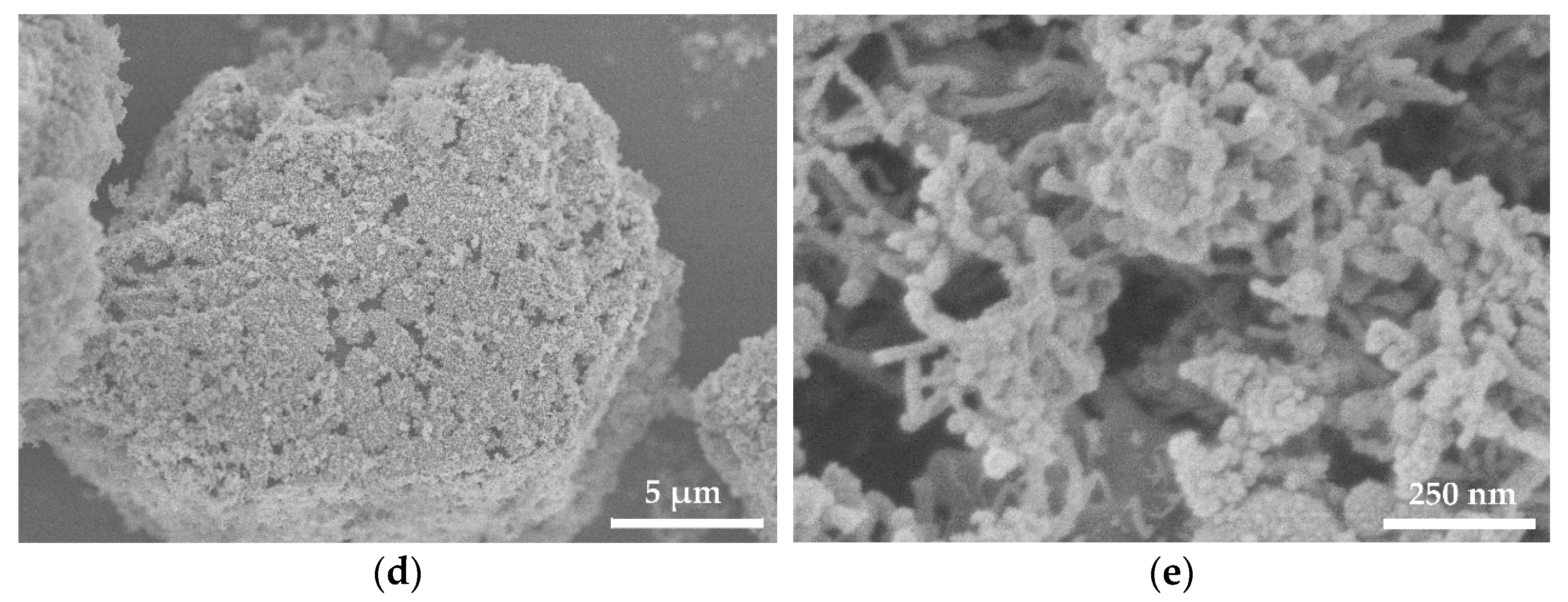 Polymers 13 03864 g001b