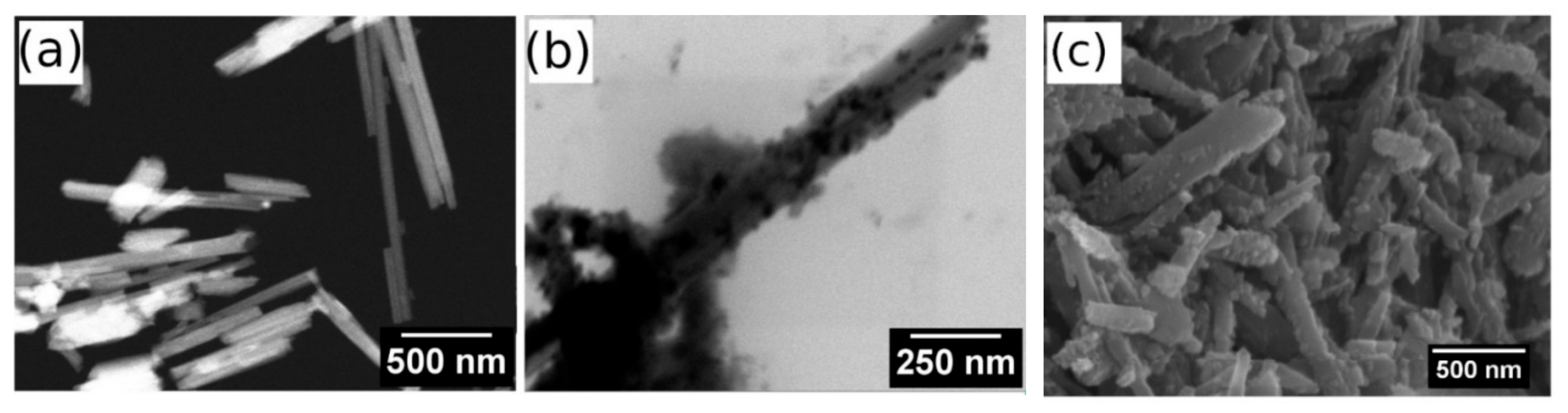 Polymers 13 03870 g001