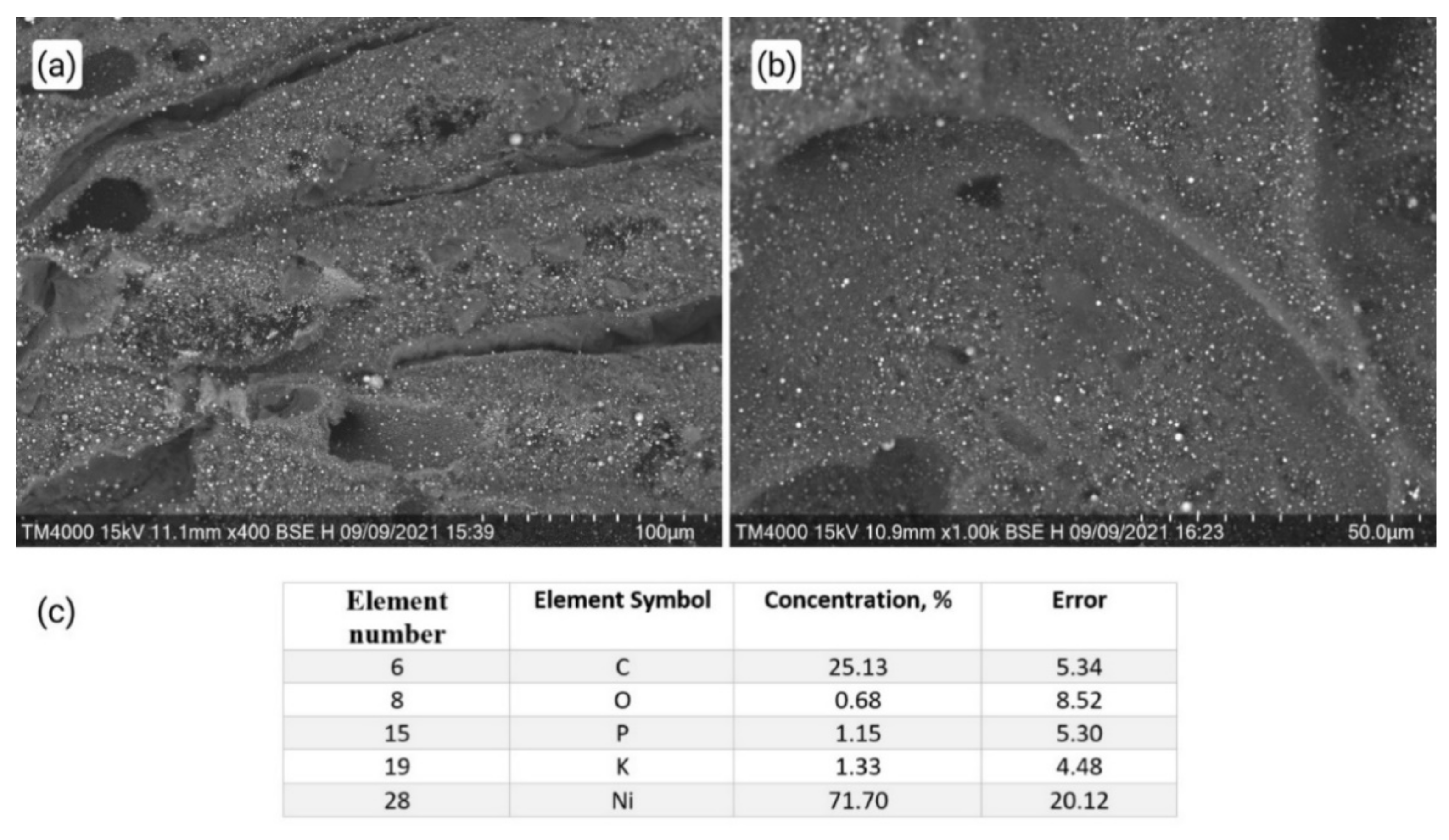Polymers 13 03881 g003