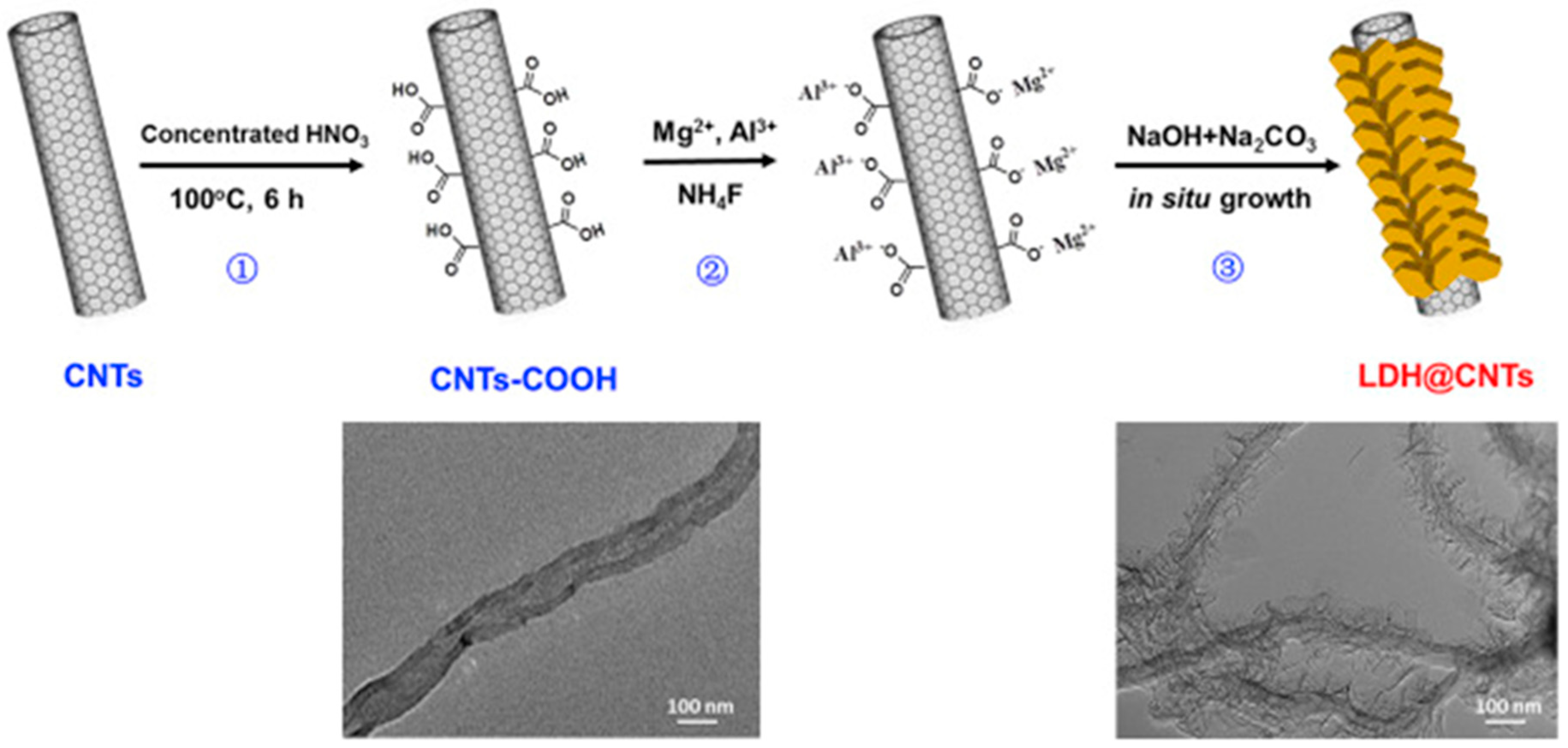 Polymers 13 03887 g005