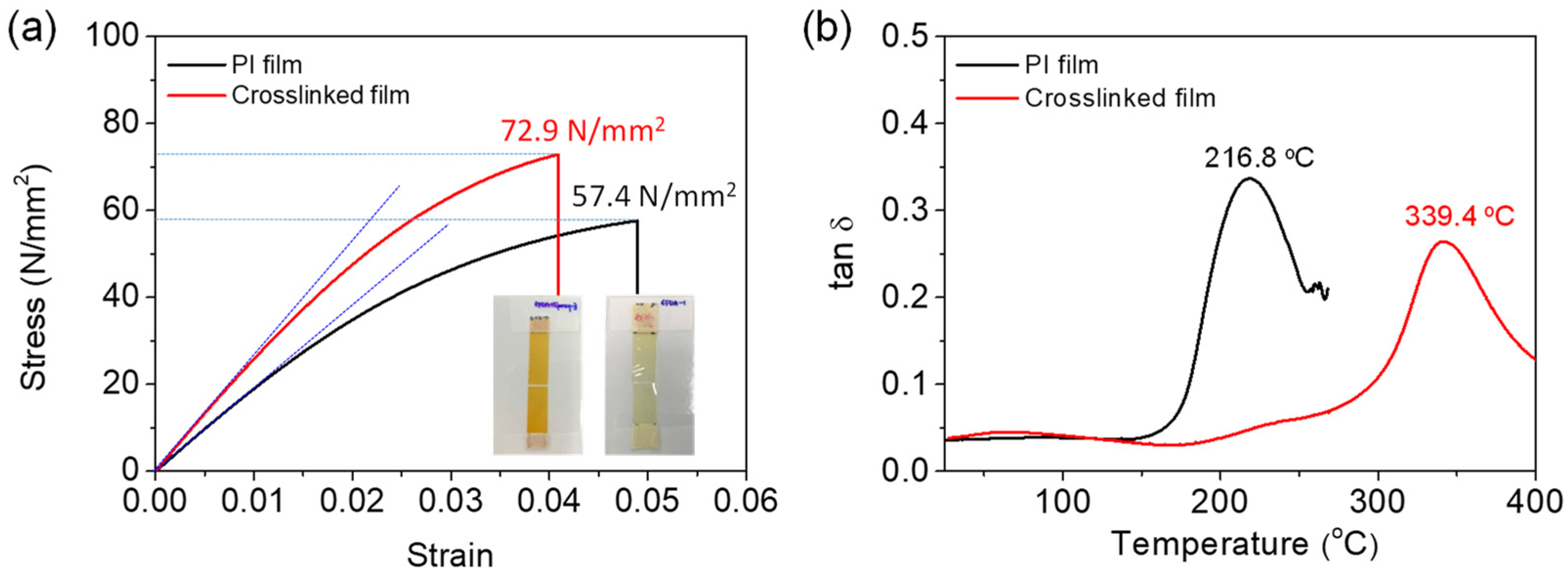 Polymers 13 03903 g003