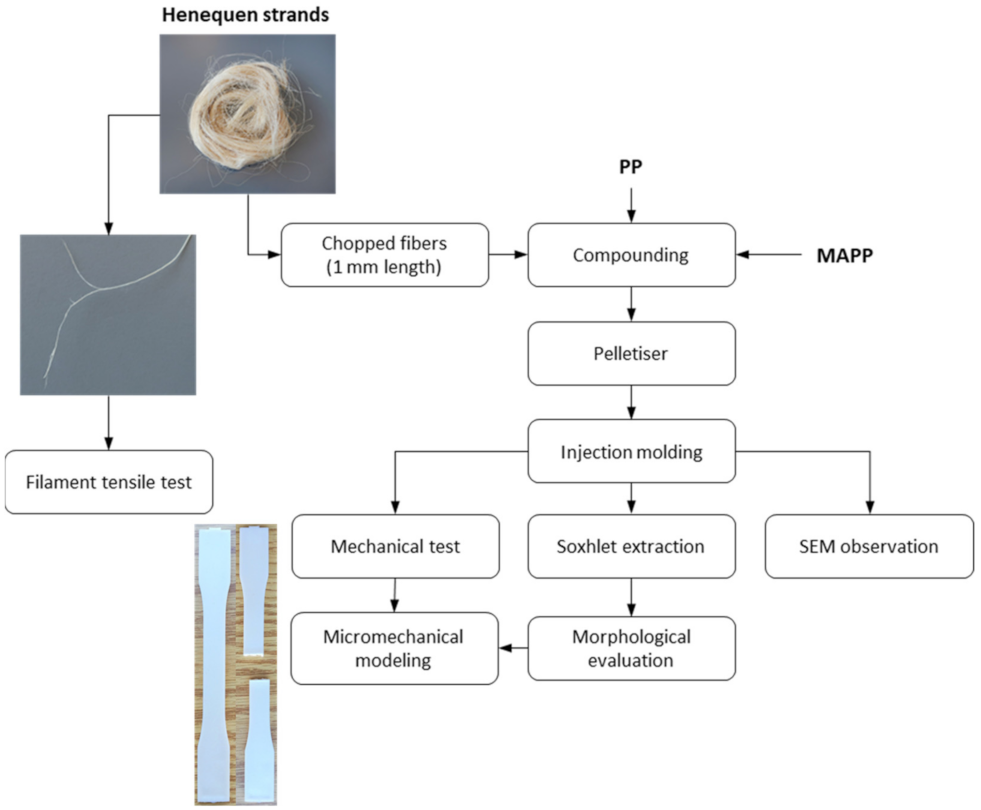 Polymers 13 03947 g001