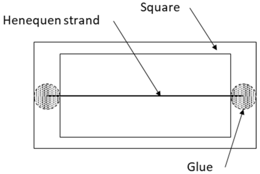 Polymers 13 03947 g002
