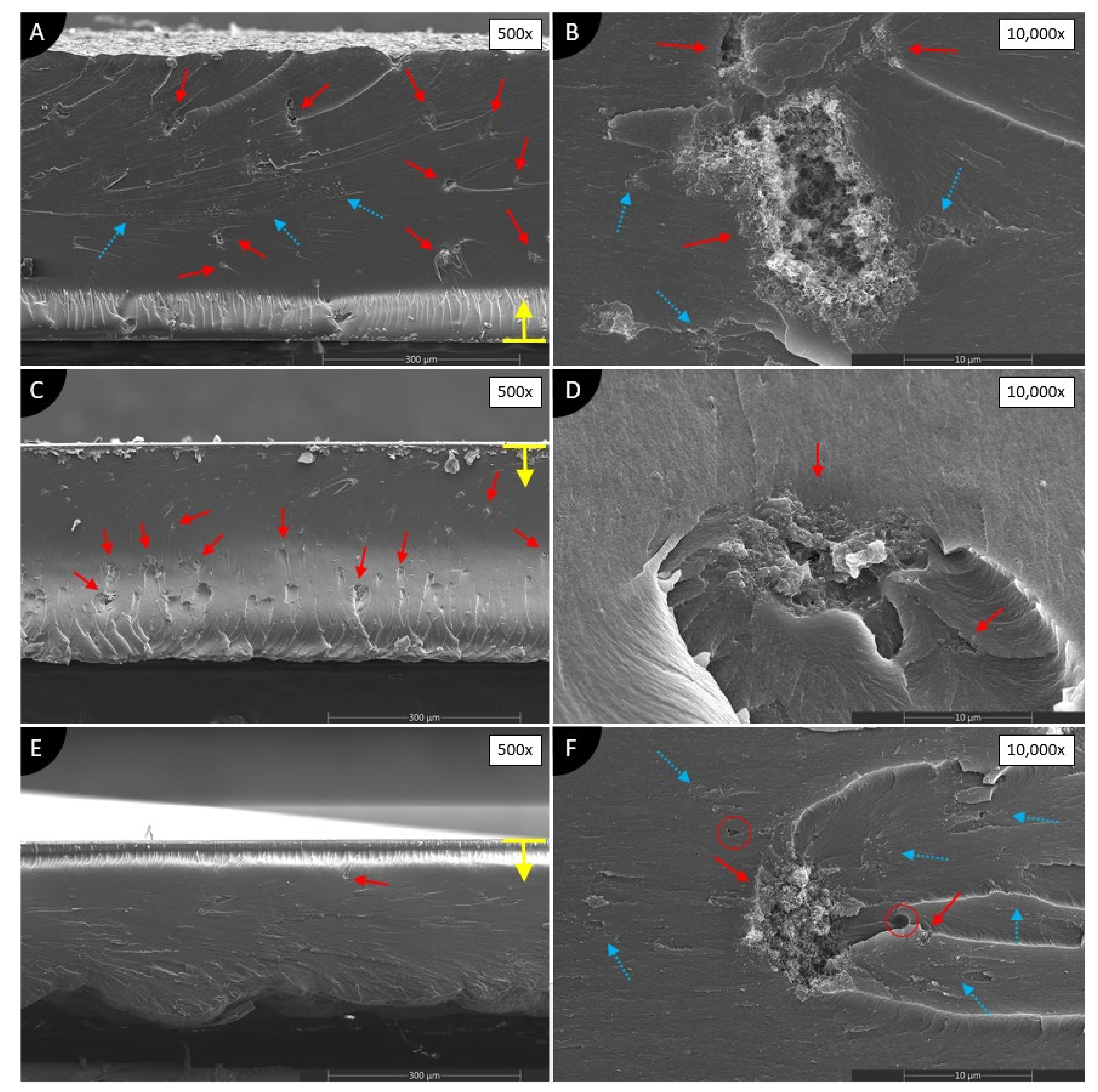 Polymers 13 03948 g006