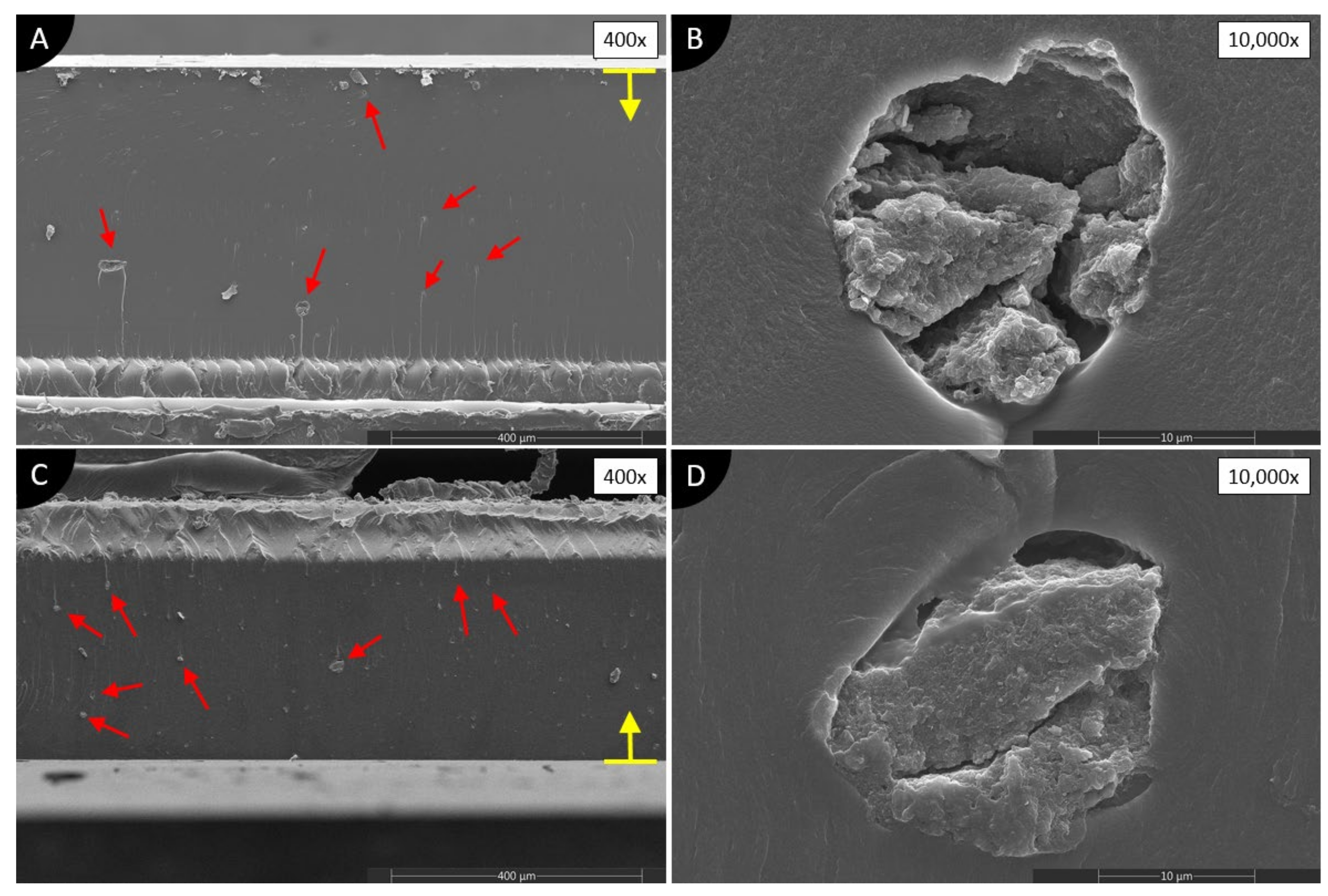 Polymers 13 03948 g008