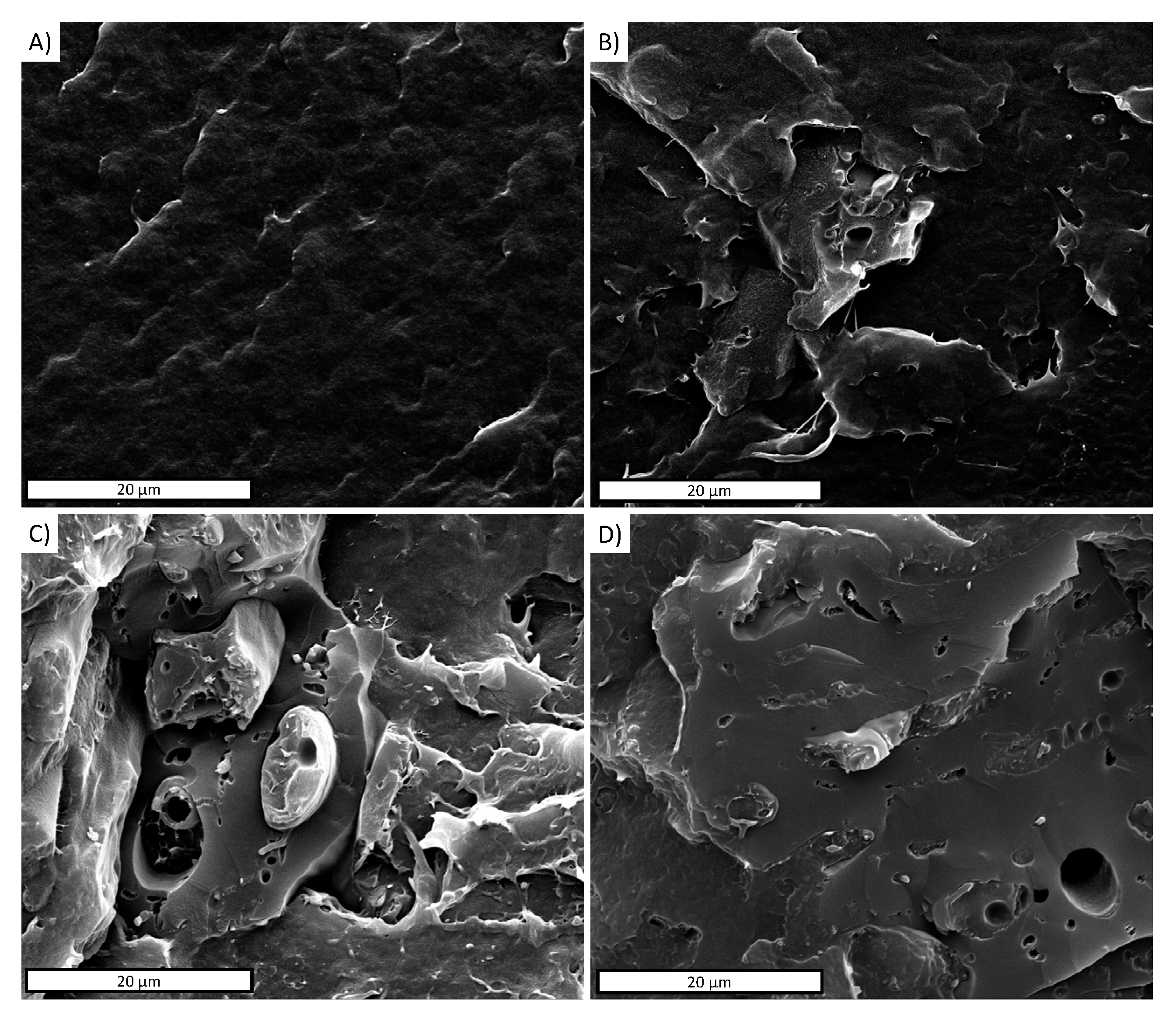 Polymers 13 03953 g004