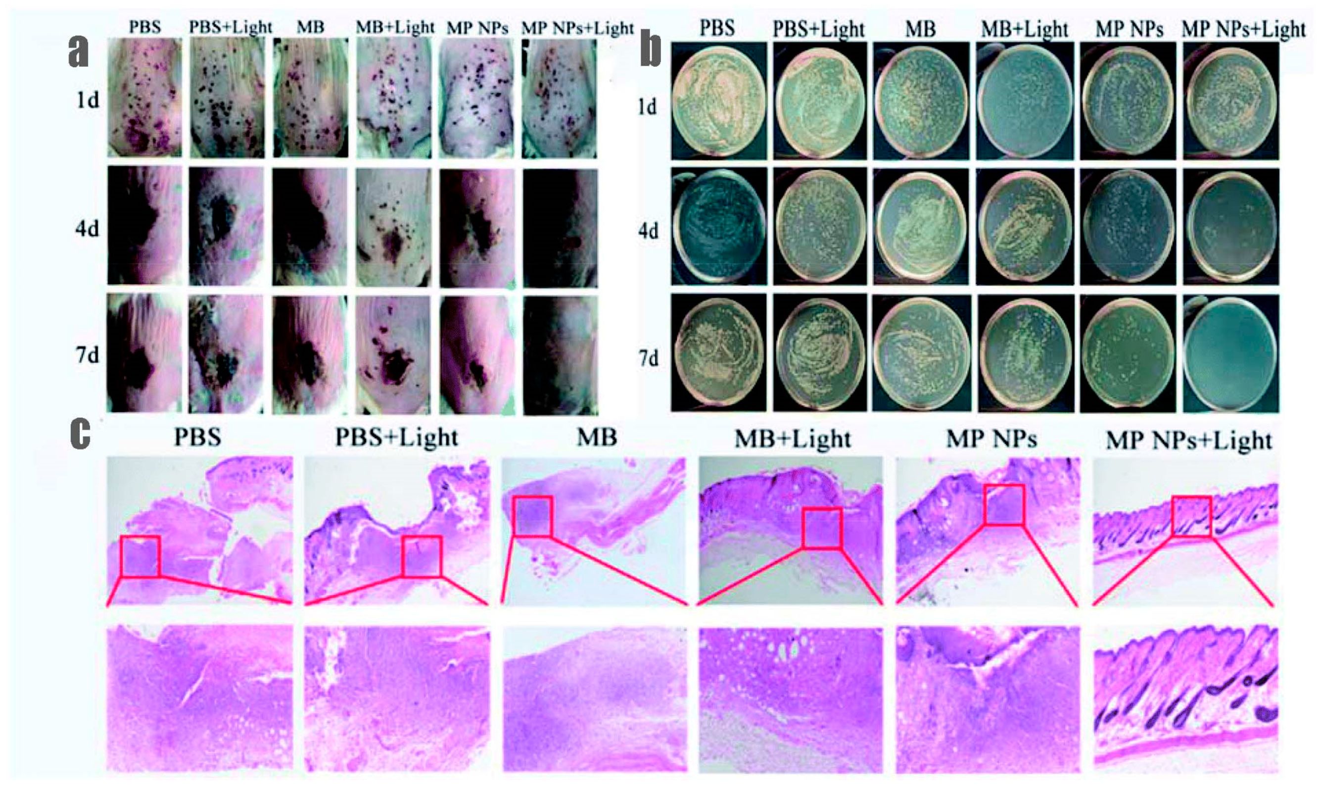 Polymers 13 03955 g006 Polymers 13 03955 g006