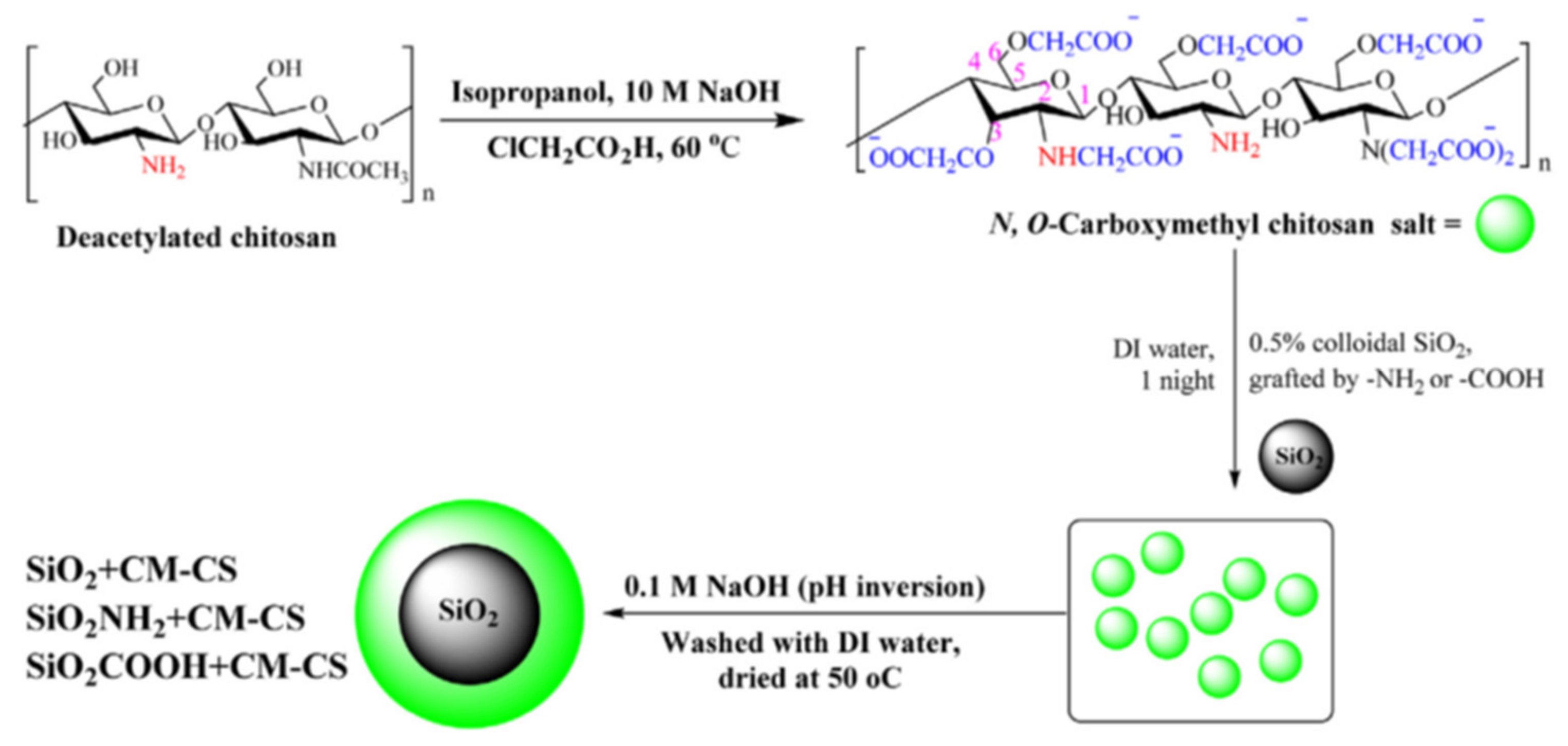 Polymers 13 03963 g007