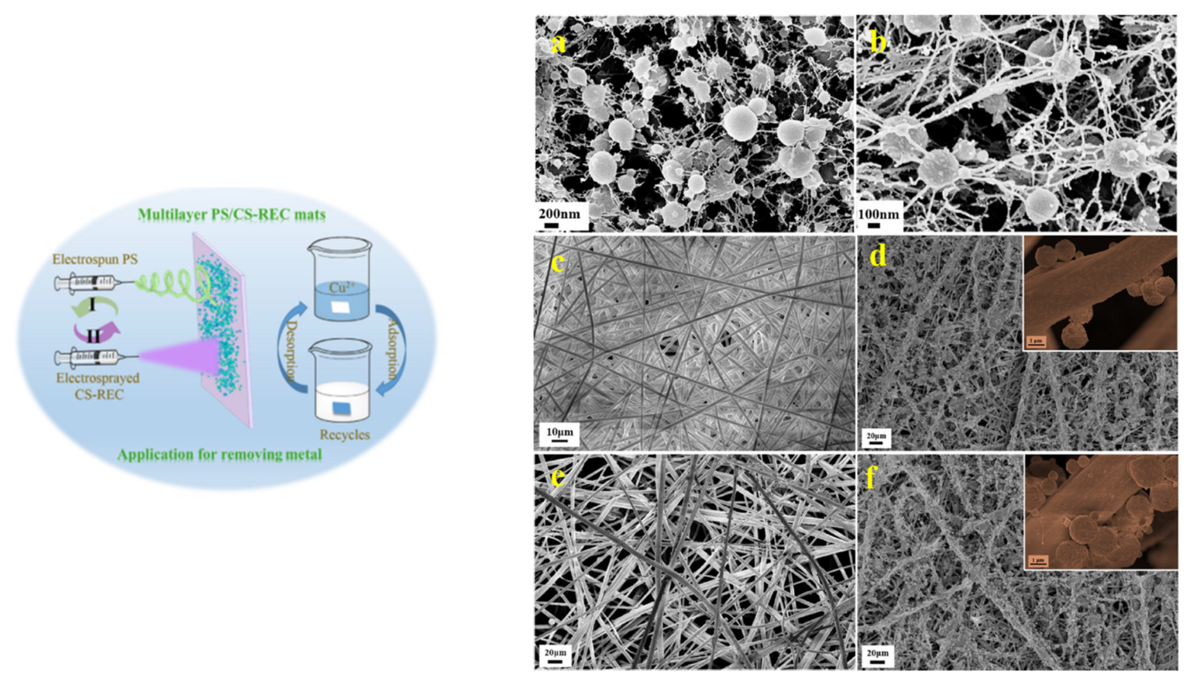 Polymers 13 03963 g014