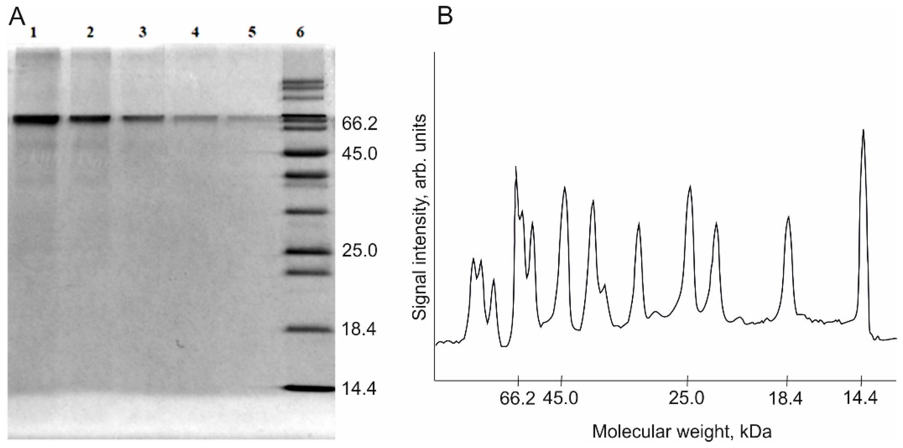 Polymers 13 03971 g003