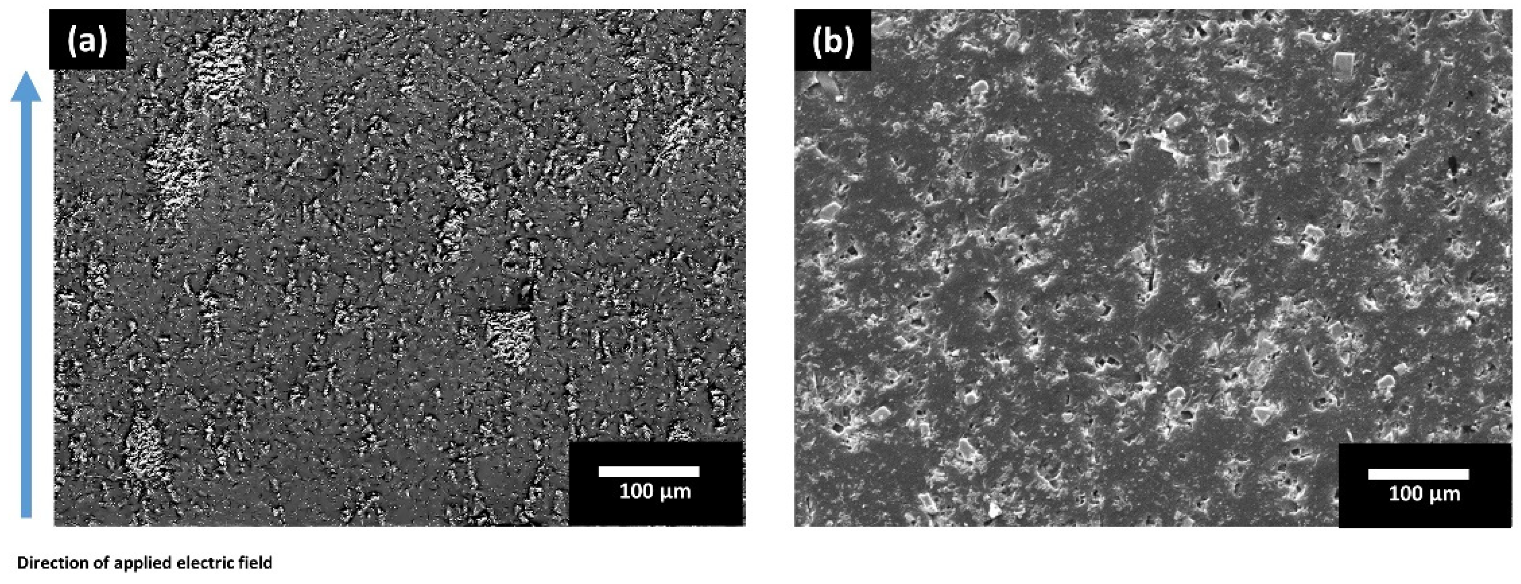 Polymers 13 03979 g006