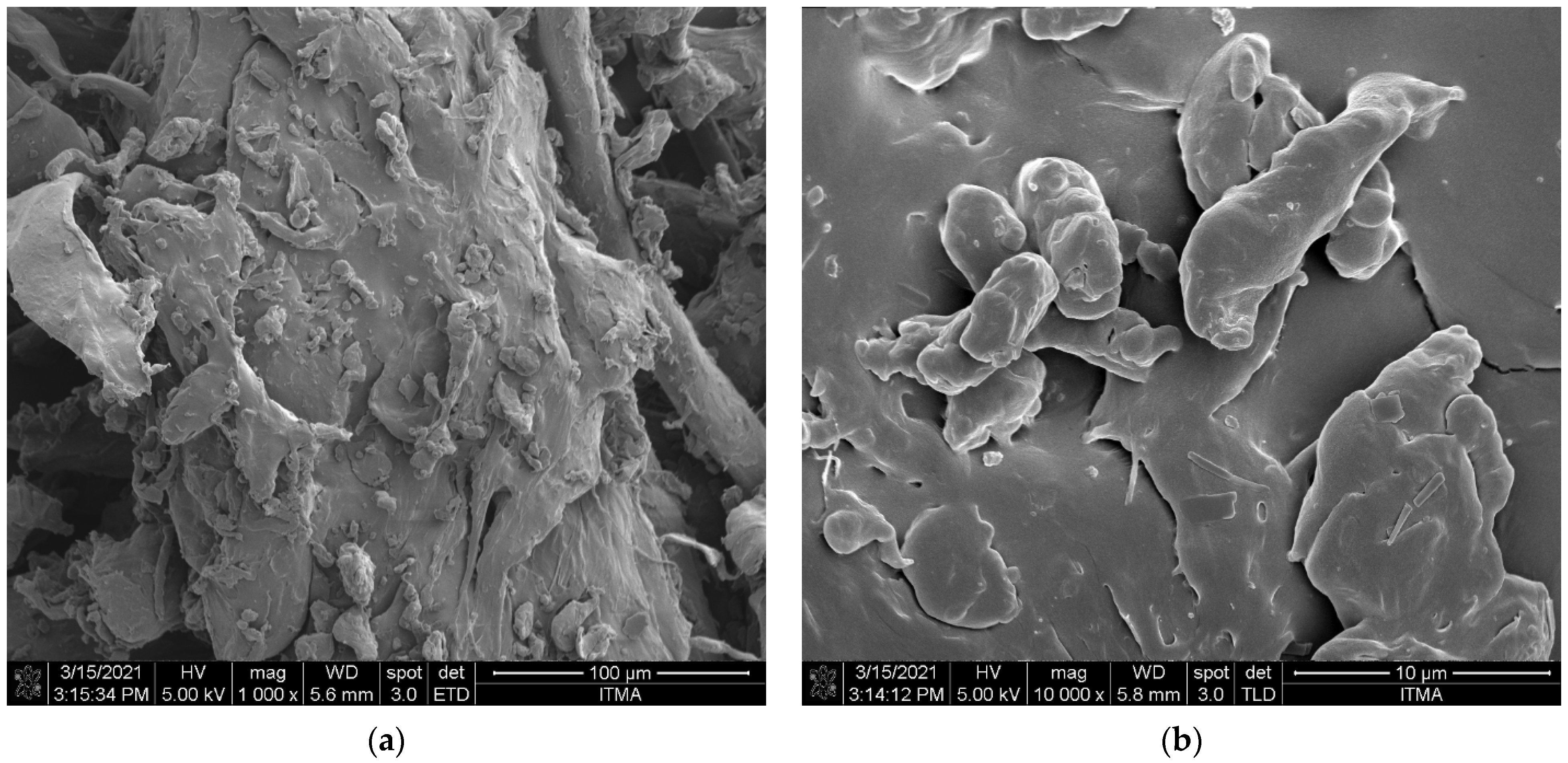 Polymers 13 03980 g003