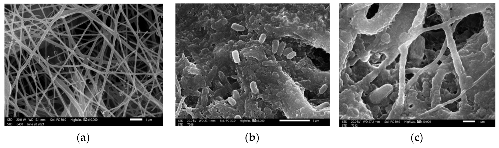 Polymers 13 03987 g006a