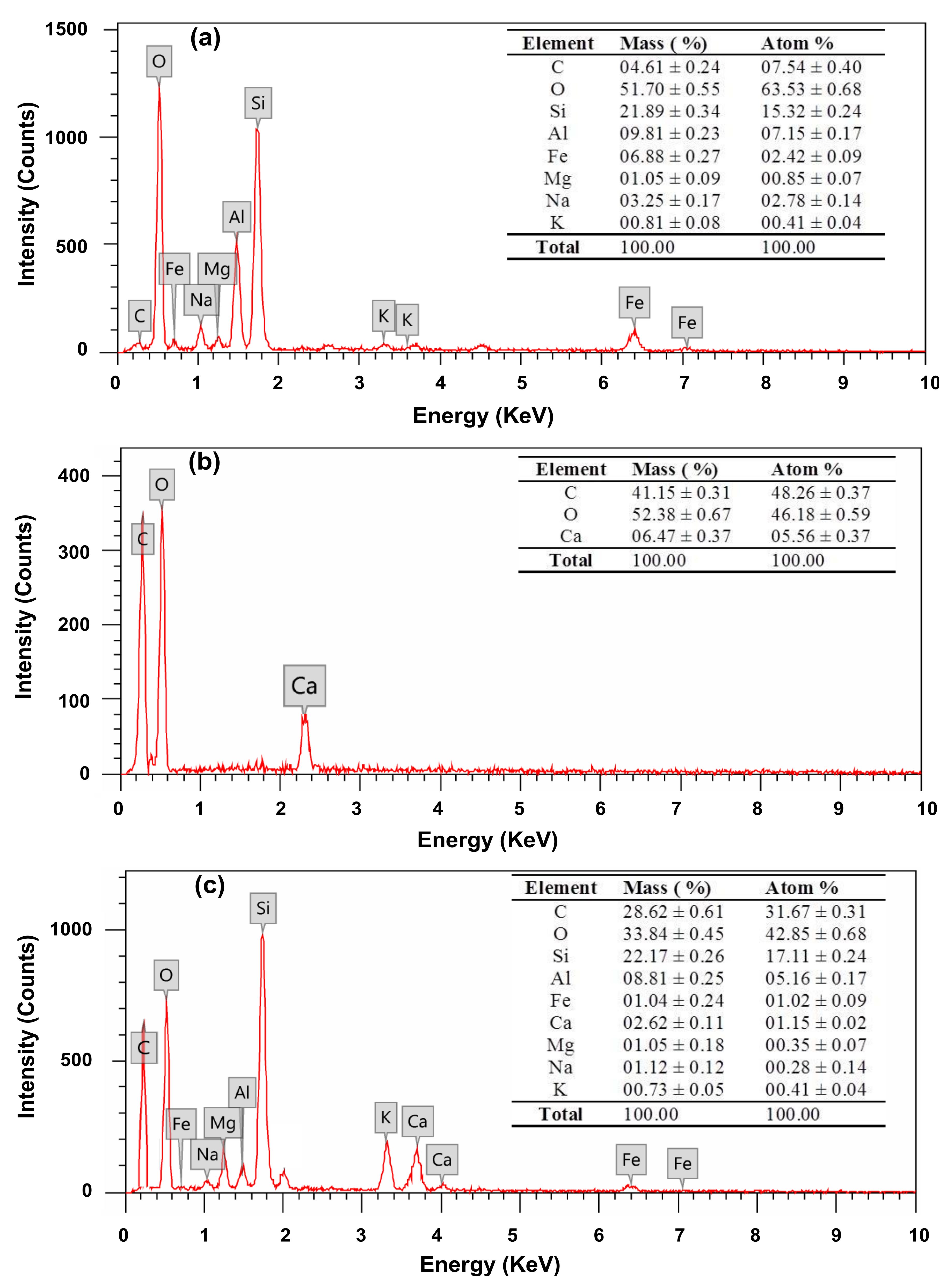 Polymers 13 04000 g004