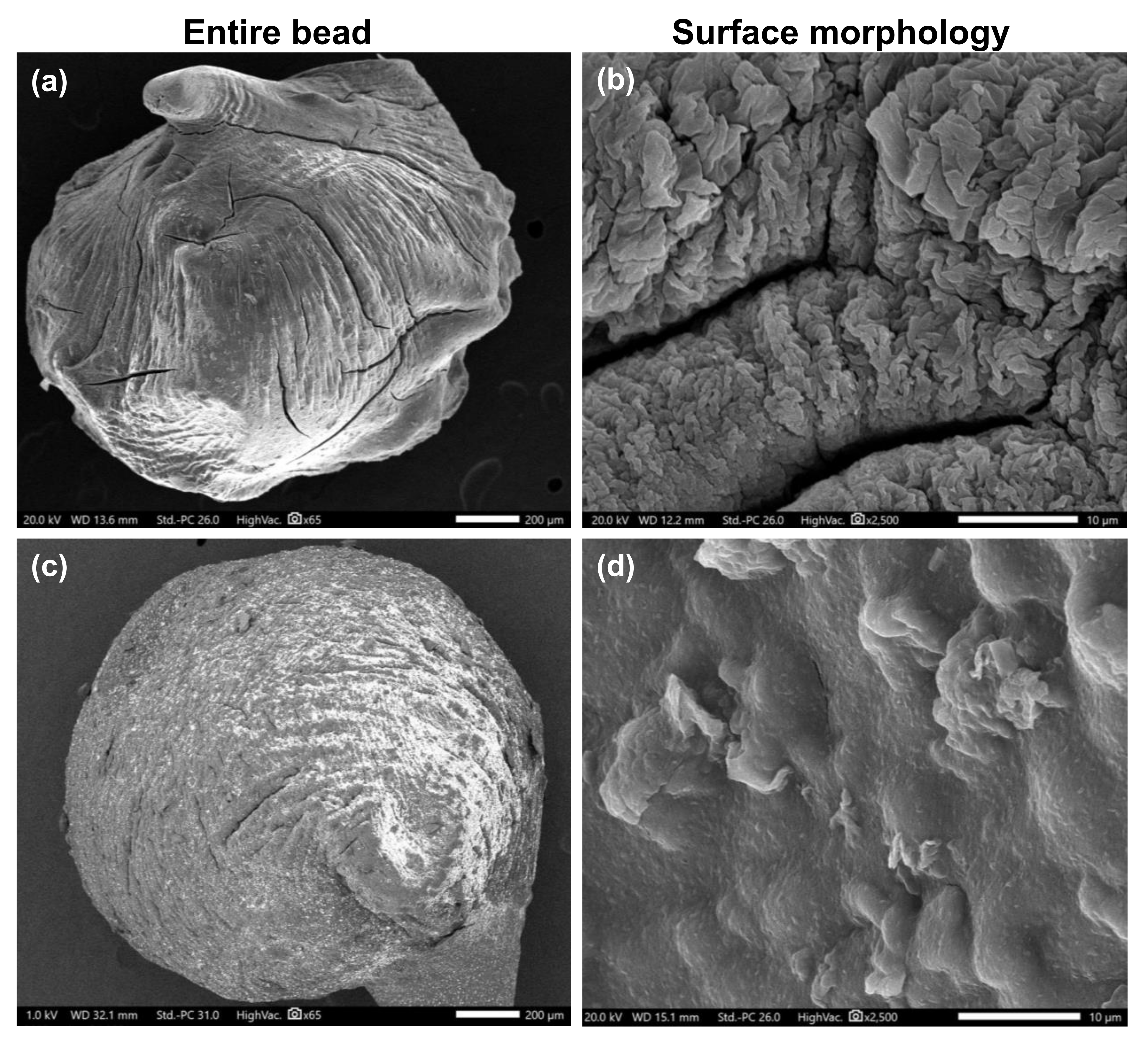 Polymers 13 04000 g005