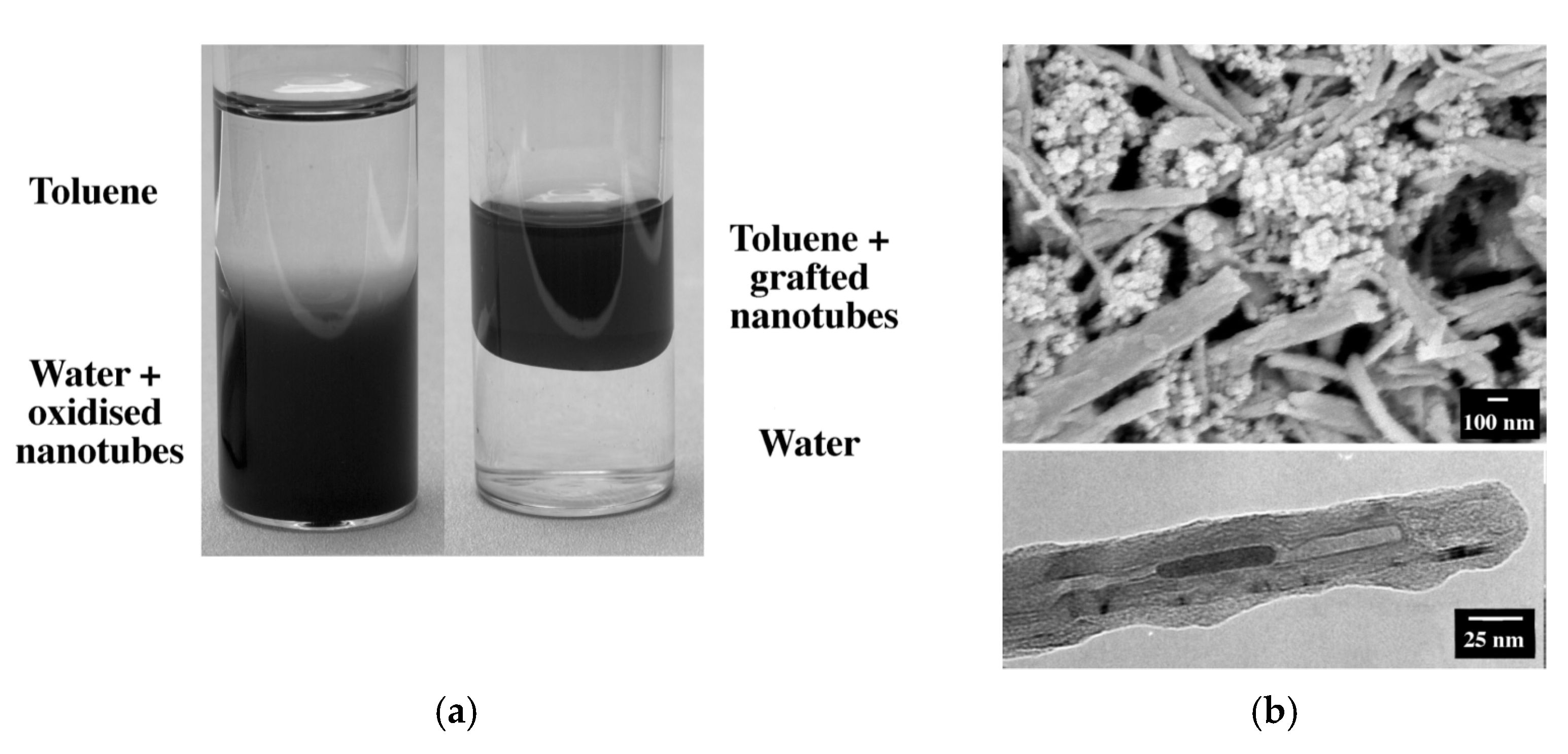 Polymers 13 04007 g001