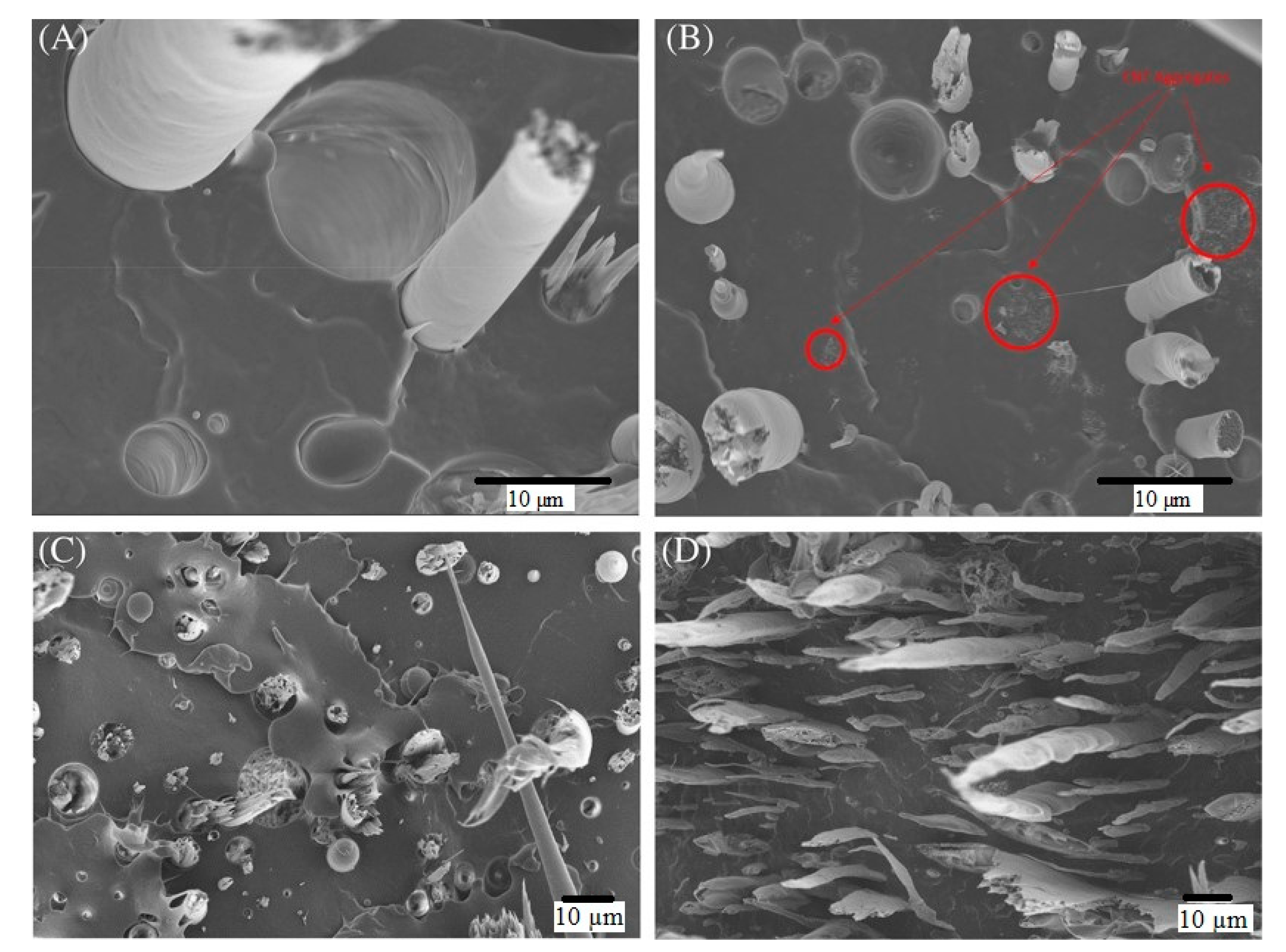 Polymers 13 04007 g006