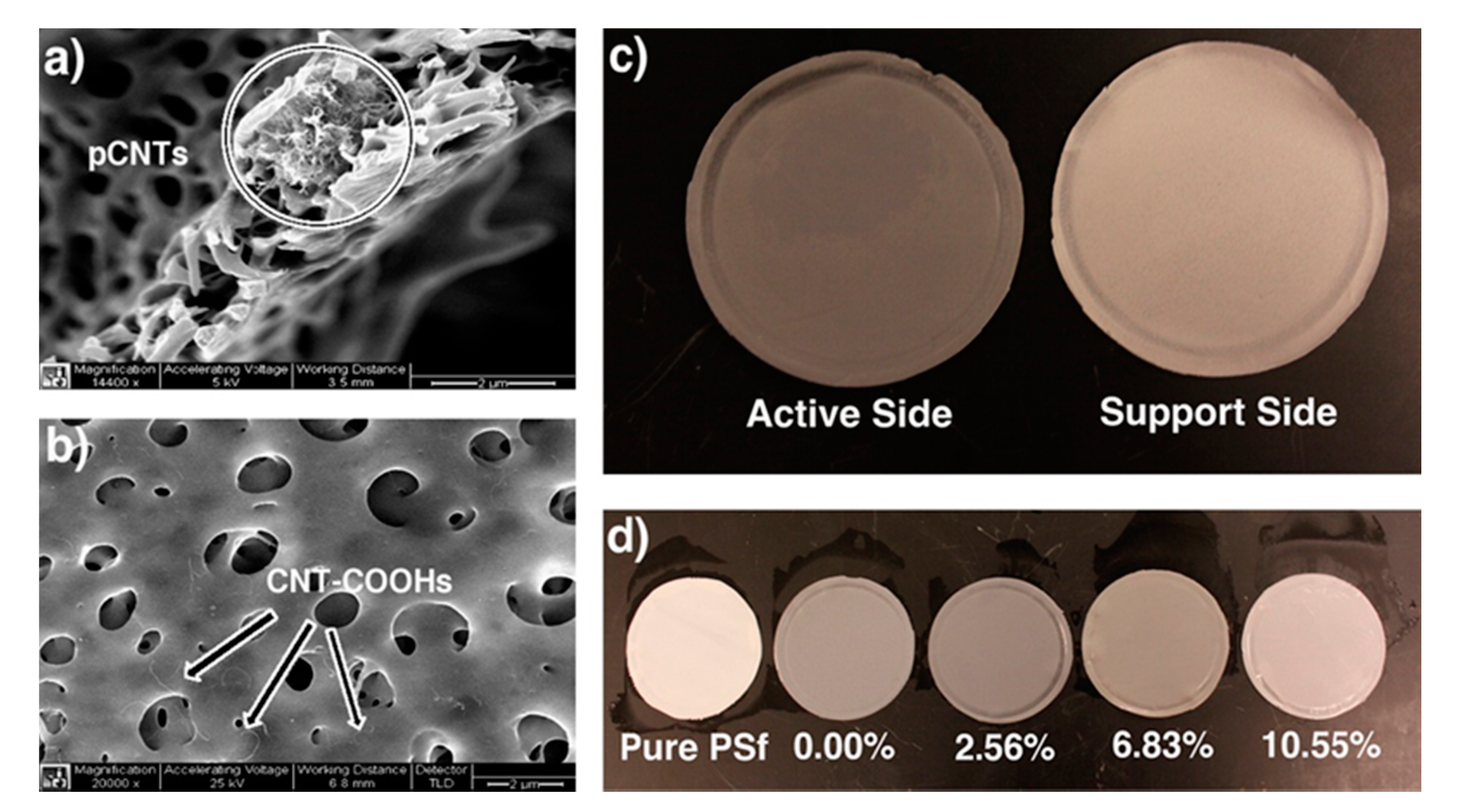 Polymers 13 04007 g012