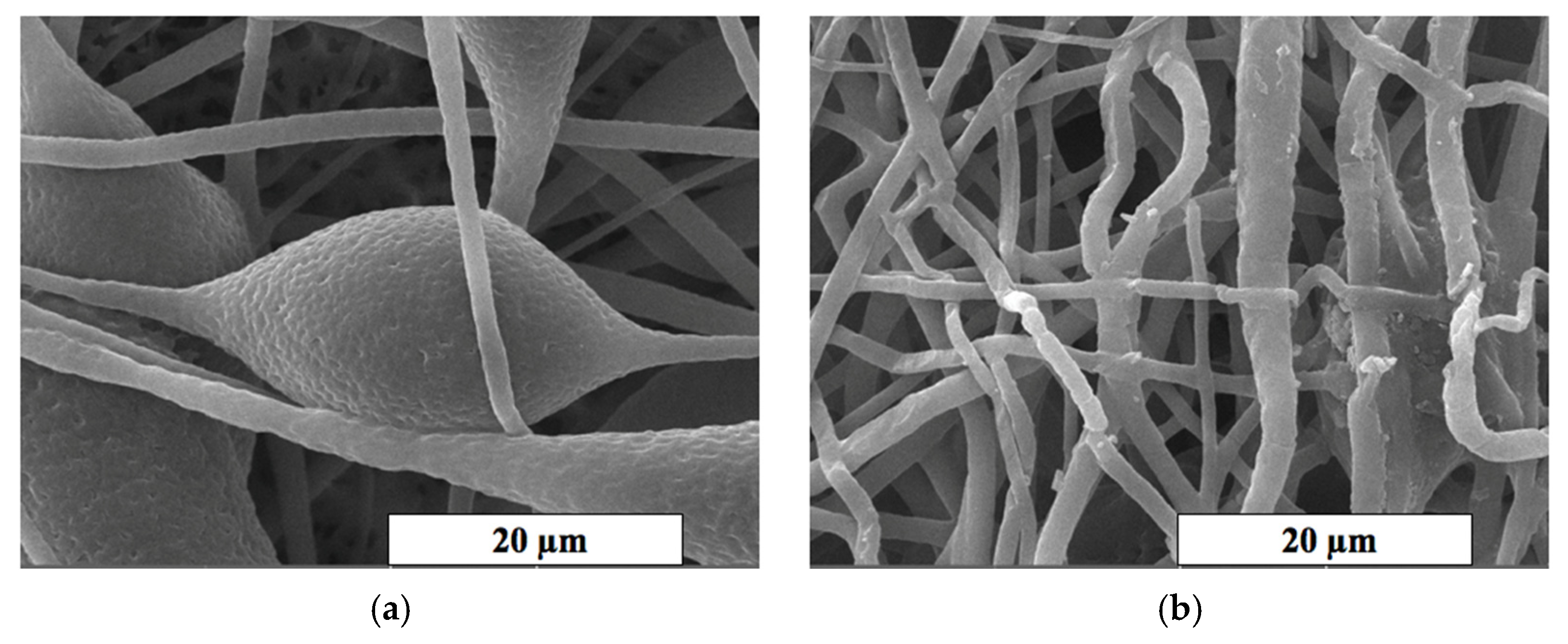 Polymers 13 04024 g003a