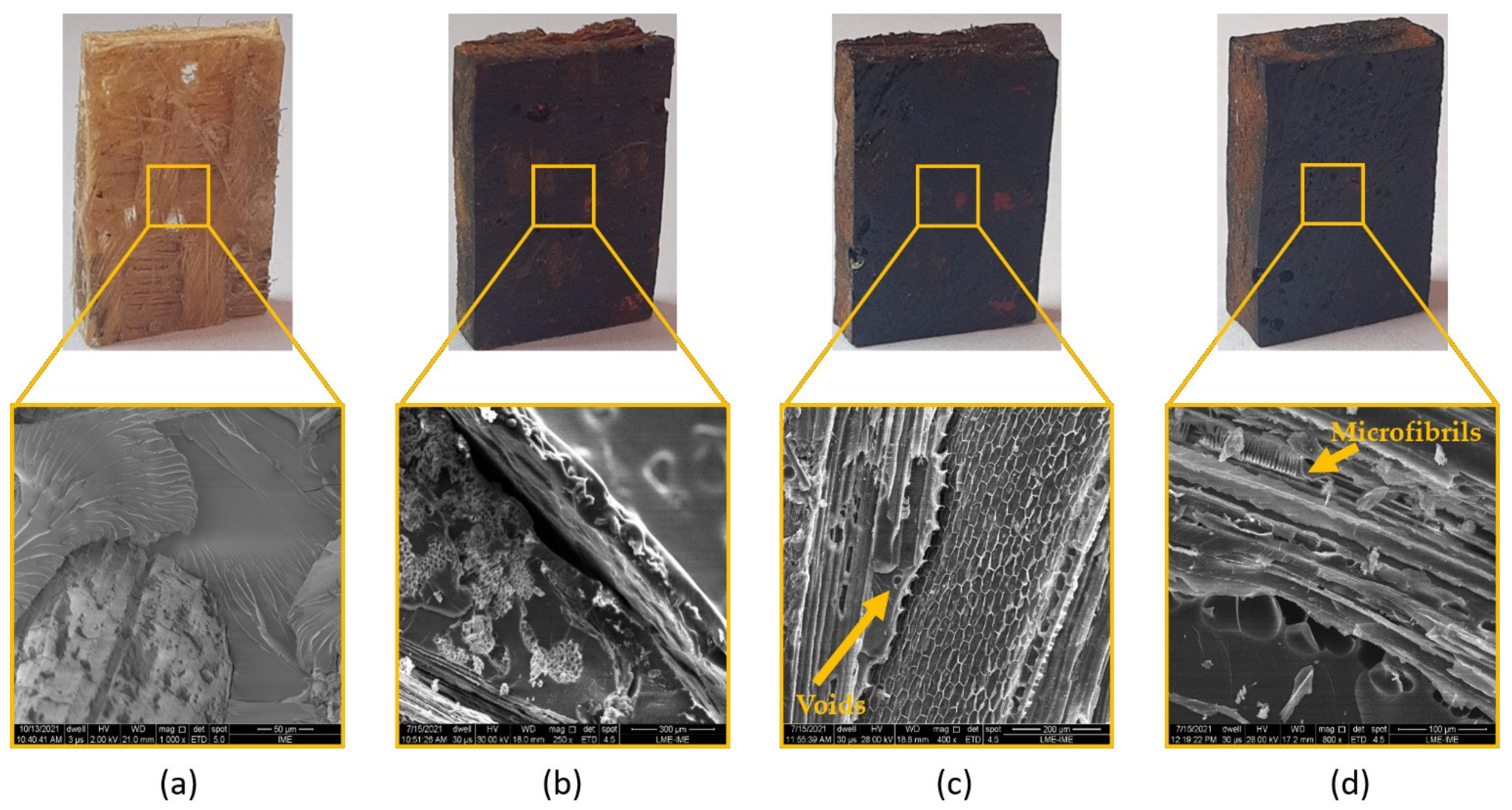 Polymers 13 04037 g006