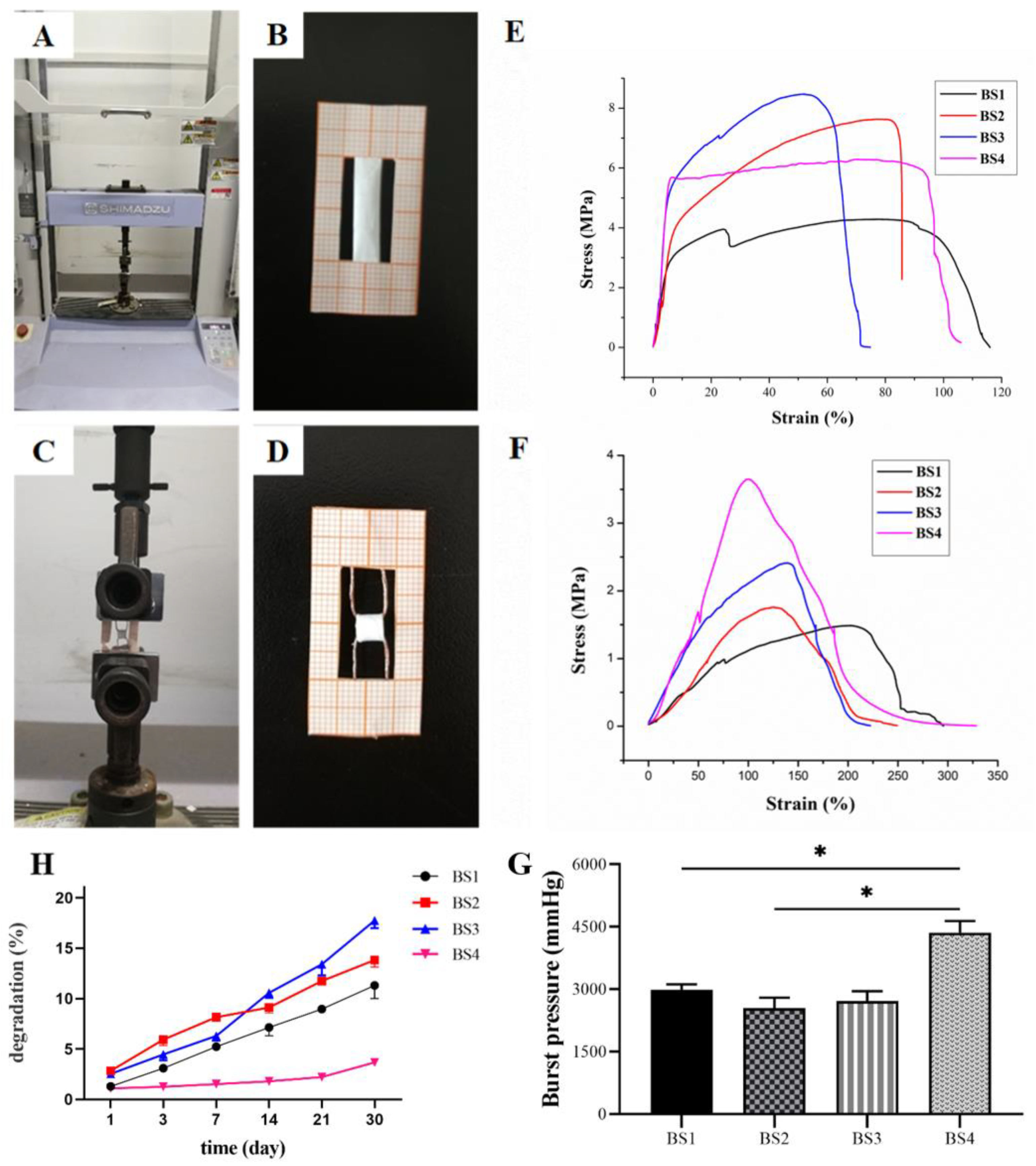 Polymers 13 04042 g002 Polymers 13 04042 g002