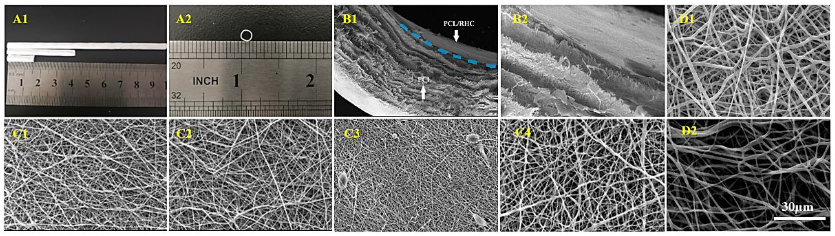 Polymers 13 04042 g003 Polymers 13 04042 g003