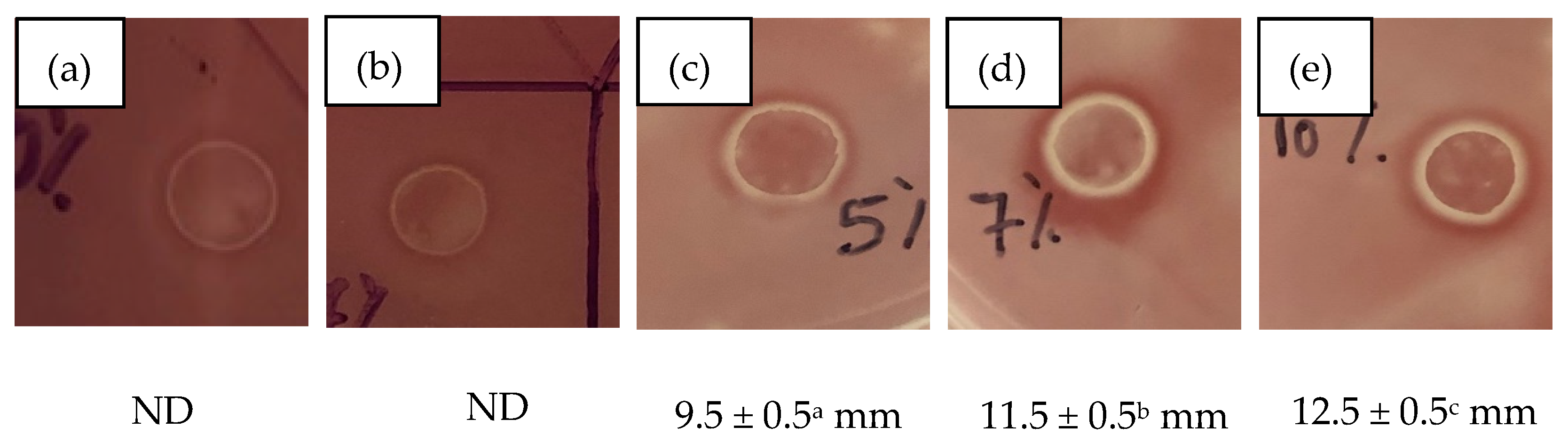 Polymers 13 04060 g005