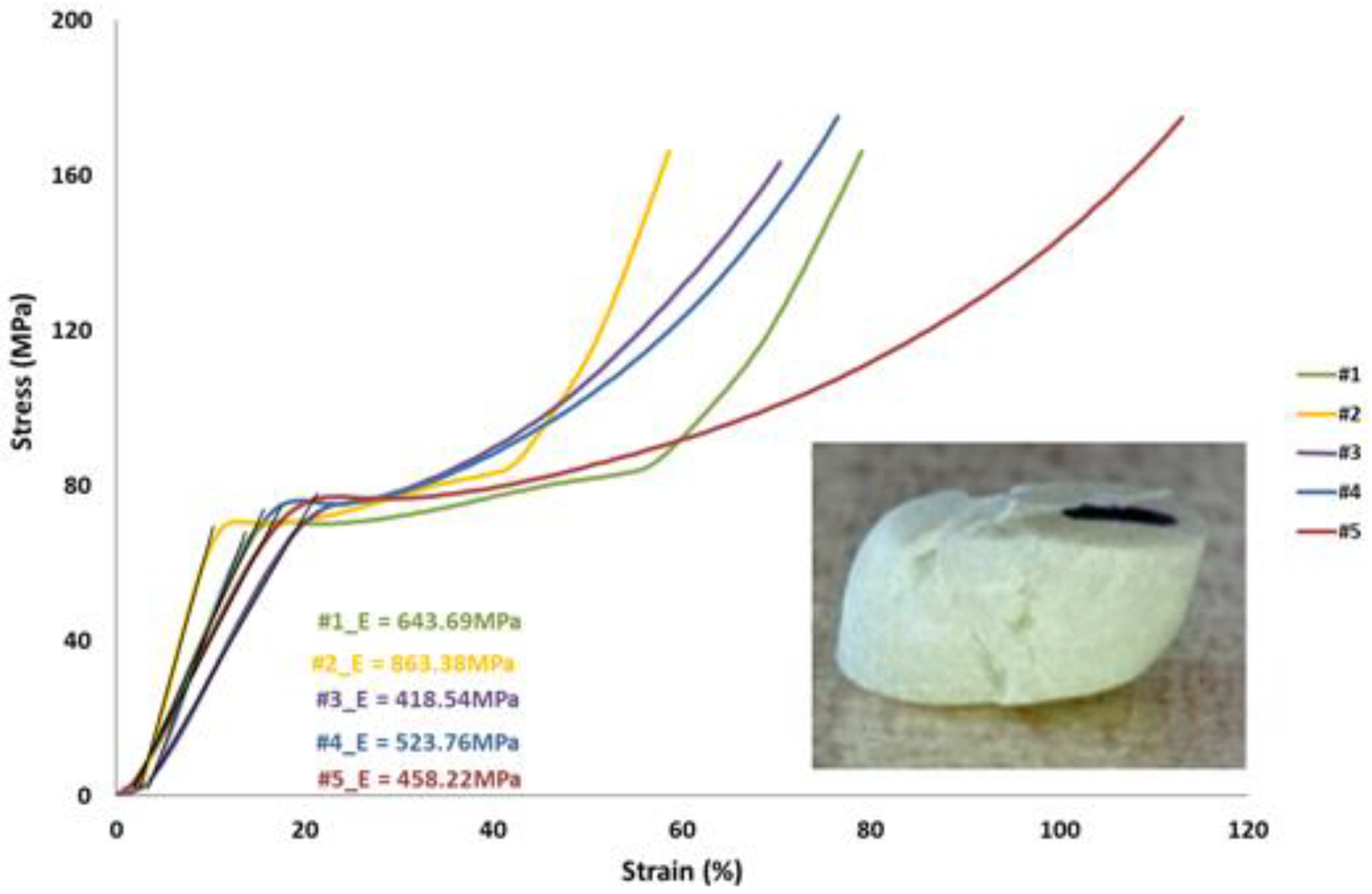 Polymers 13 04065 g007