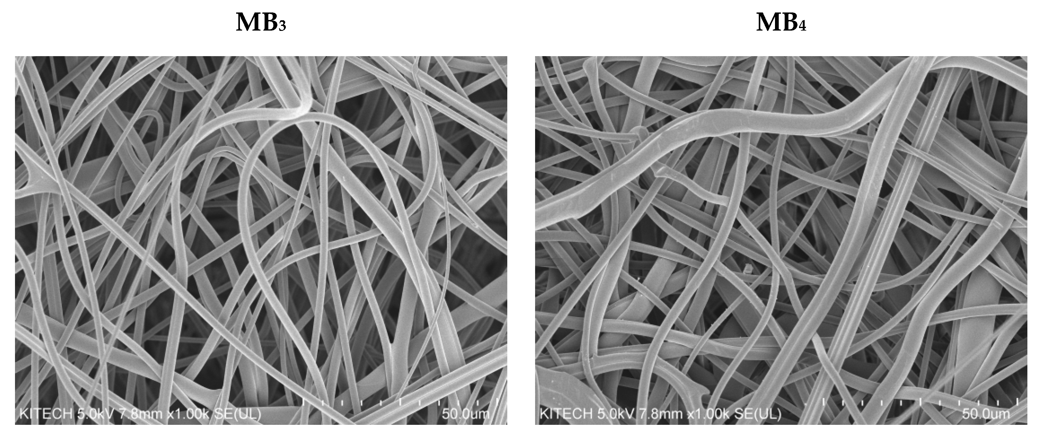 Polymers 13 04067 g002b