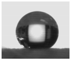 Polymers 13 04067 i004