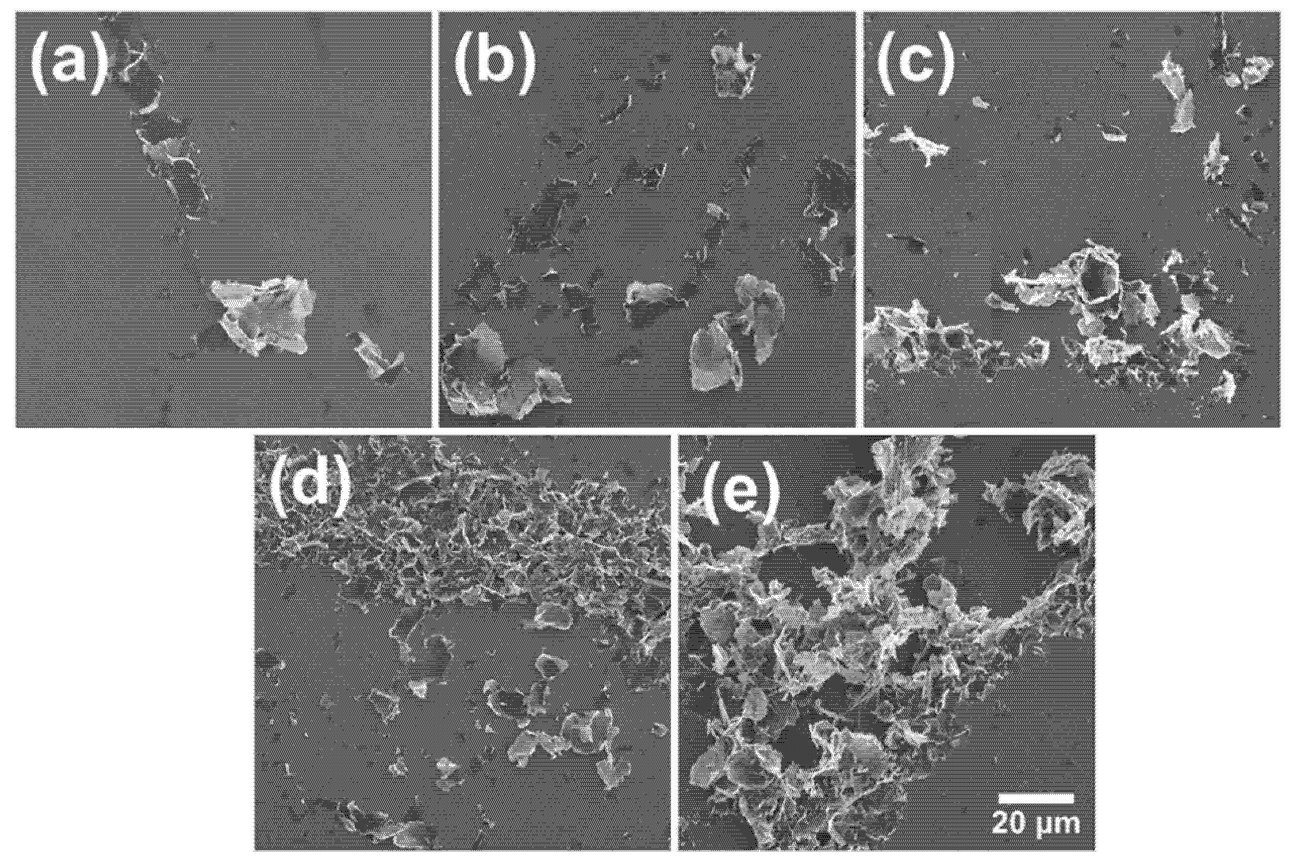Polymers 13 04128 g008