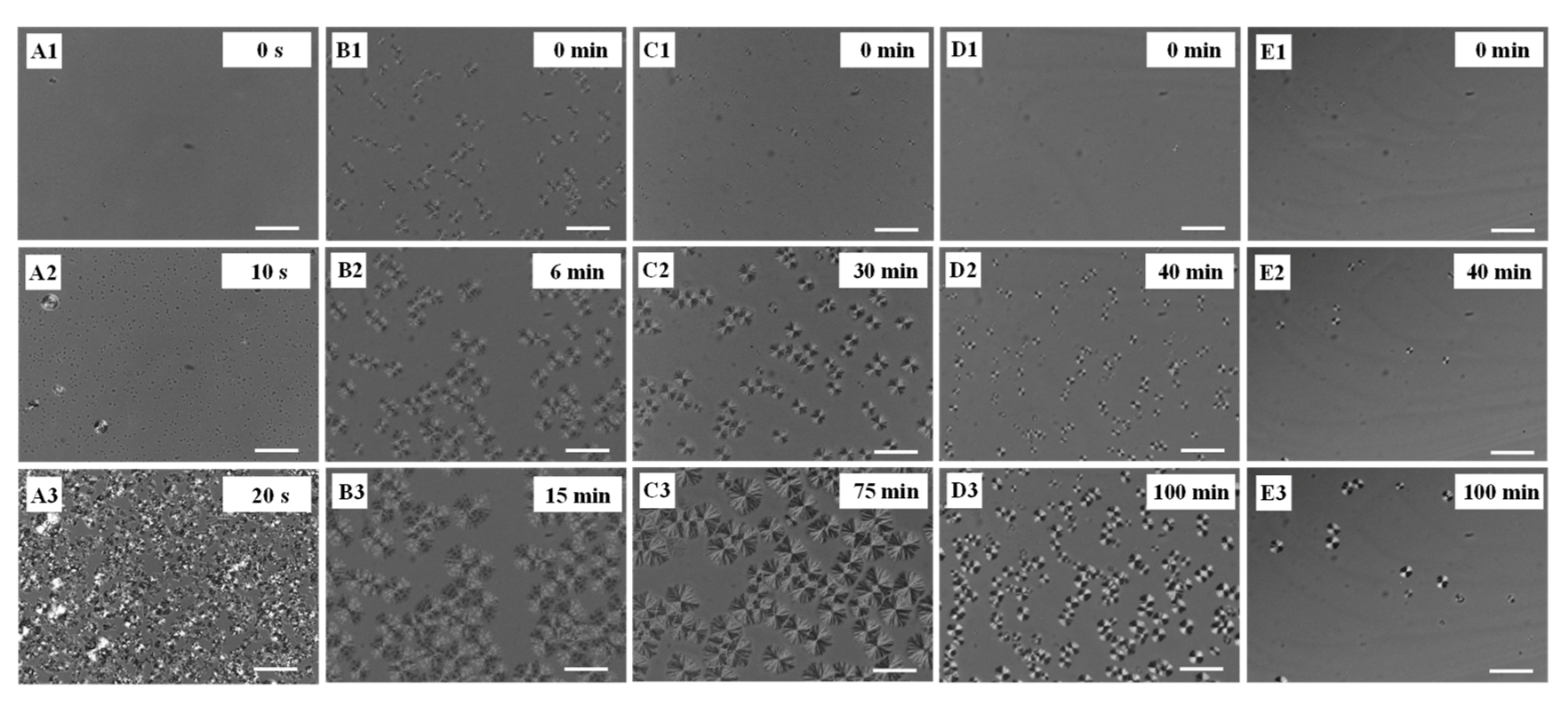 Polymers 13 04138 g002