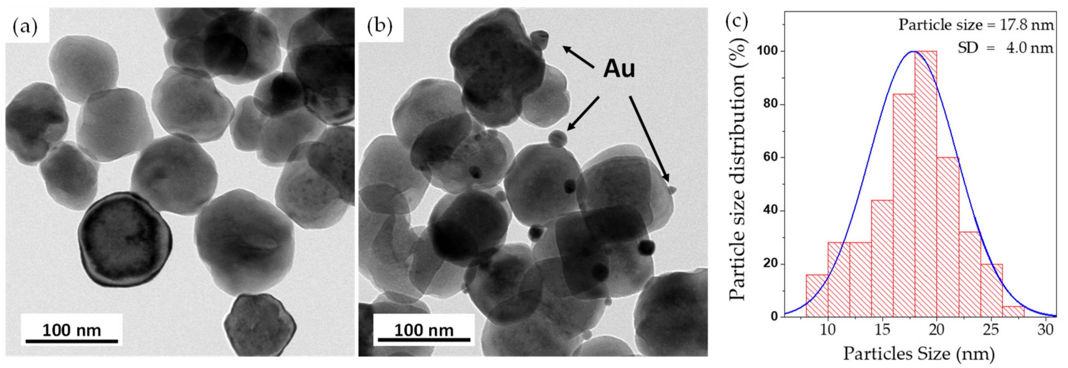 Polymers 13 04144 g001