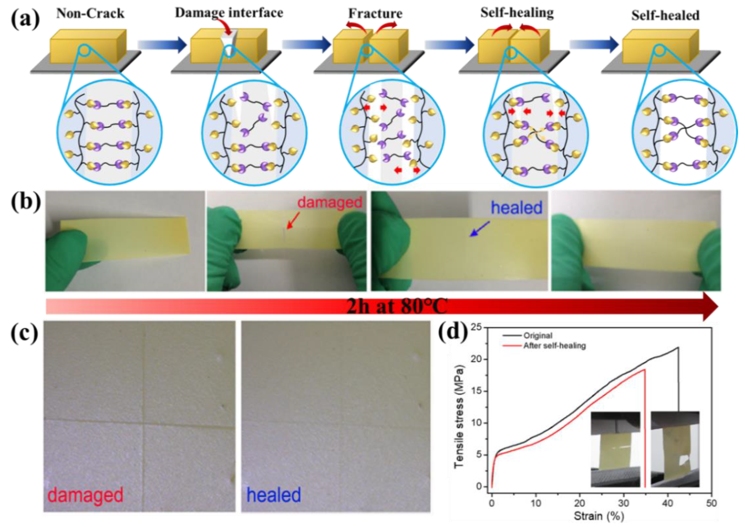 Polymers 13 04155 g004
